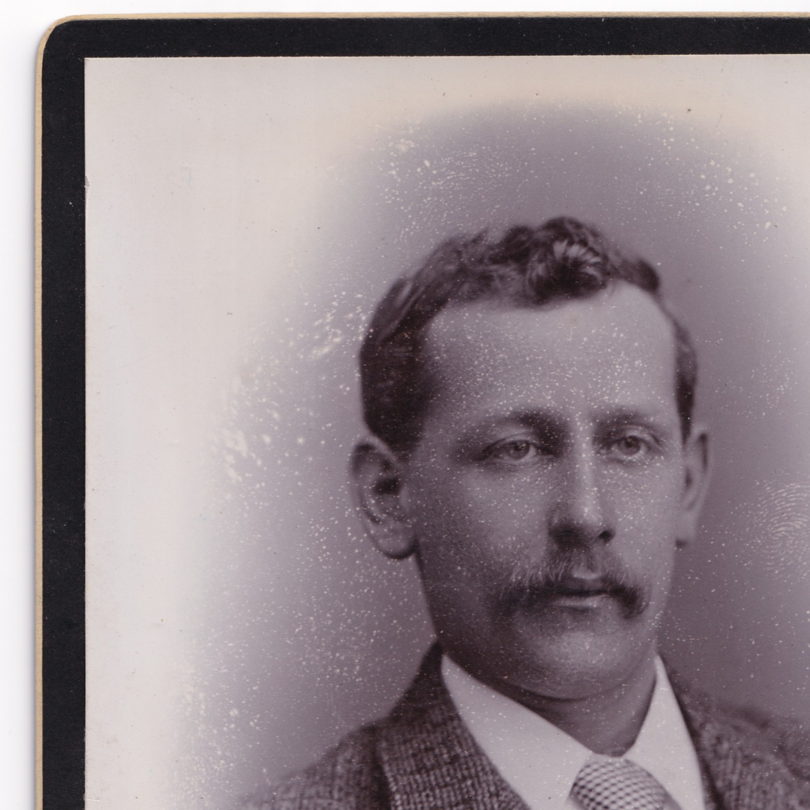 Cabinet Card: Cabinet Card: Donald MacIver, Leeds Card. Man in Tweed Style Suit.: catalogue image 3