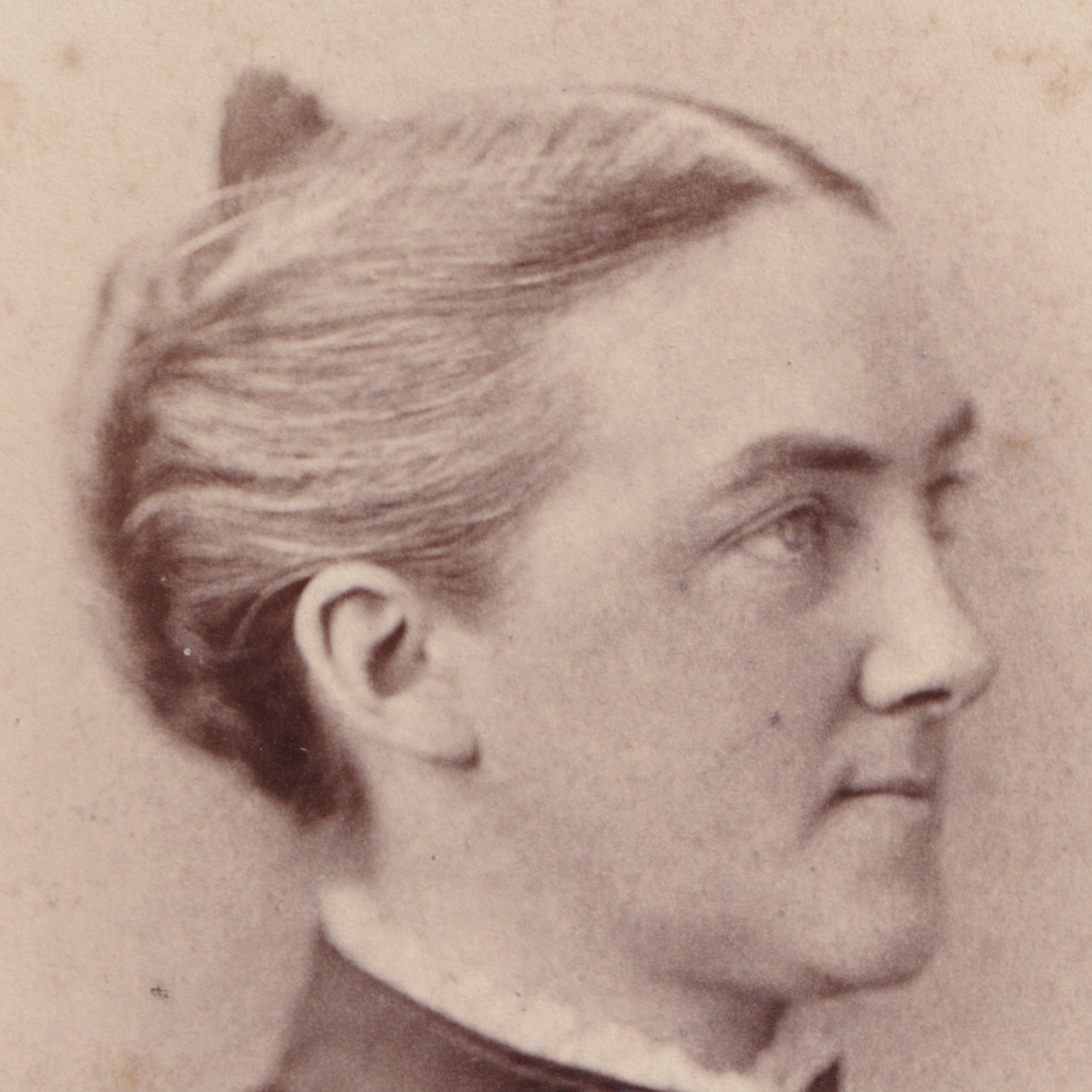 Cabinet Card: Cabinet Card: Ellen Swallow Richards, Pioneer Woman Scientist MIT. Hardy, Boston: catalogue image 2