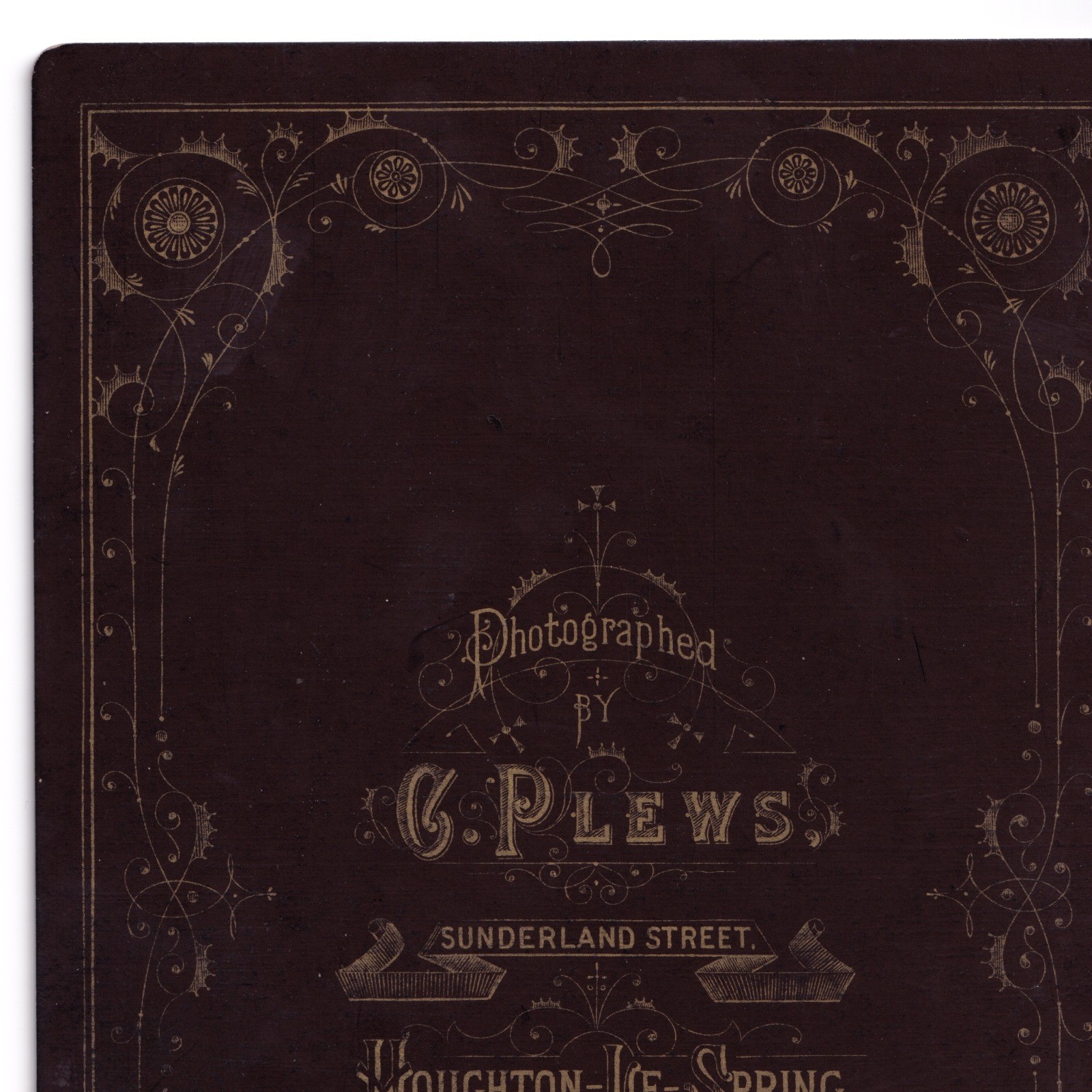 Cabinet Card: Cabinet Card: Older Woman Seated. C. Plews Card, Houghton Le Spring.: catalogue image 15