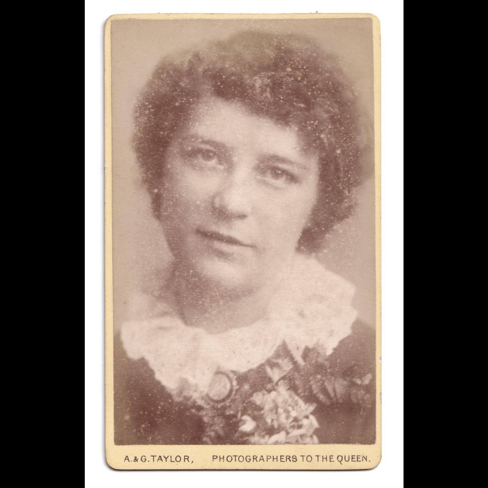 CDV: CDV: A & G Taylor Card, Woman with Short Curly Hair.: catalogue image 1