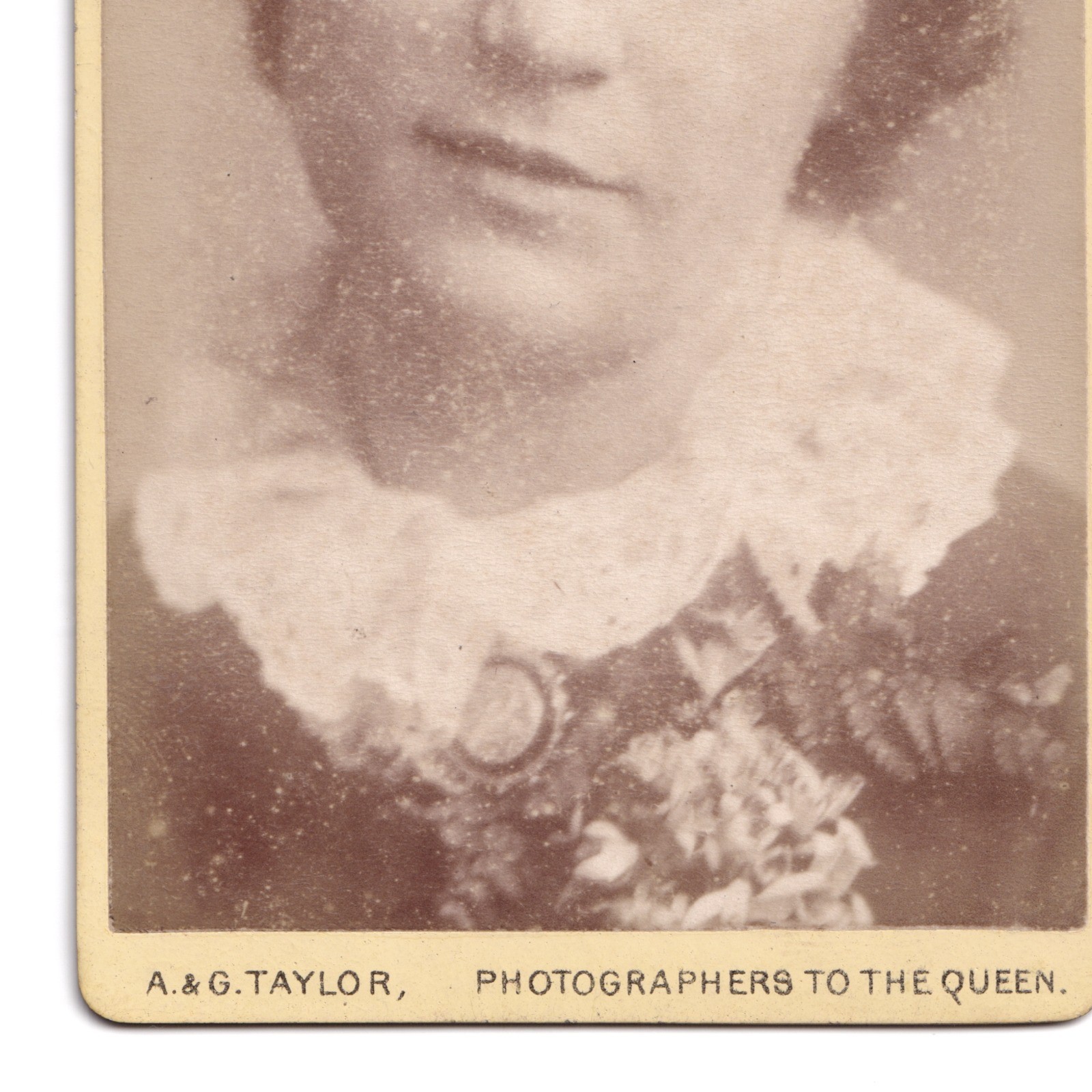 CDV: CDV: A & G Taylor Card, Woman with Short Curly Hair.: catalogue image 7