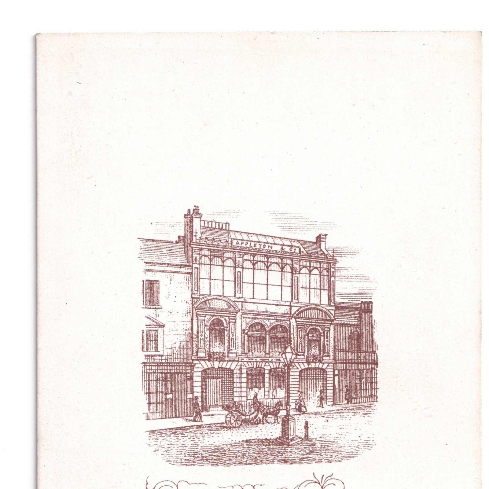 CDV: CDV: Appleton & Co Card, Bradford. Man Leaning On Chair.: catalogue image 10