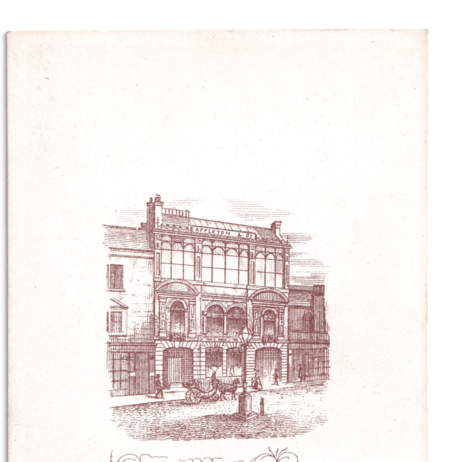 CDV: CDV: Appleton & Co Card, Bradford. Man Leaning On Chair.: catalogue image 11