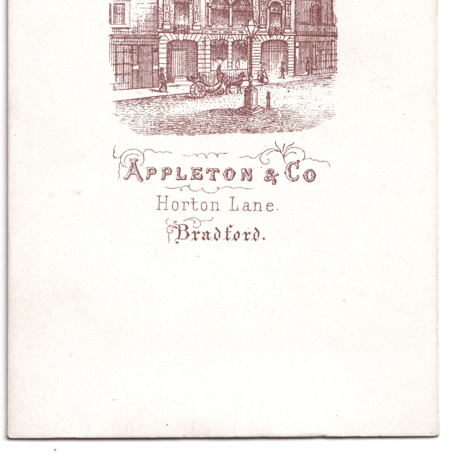 CDV: CDV: Appleton & Co Card, Bradford. Man Leaning On Chair.: catalogue image 12