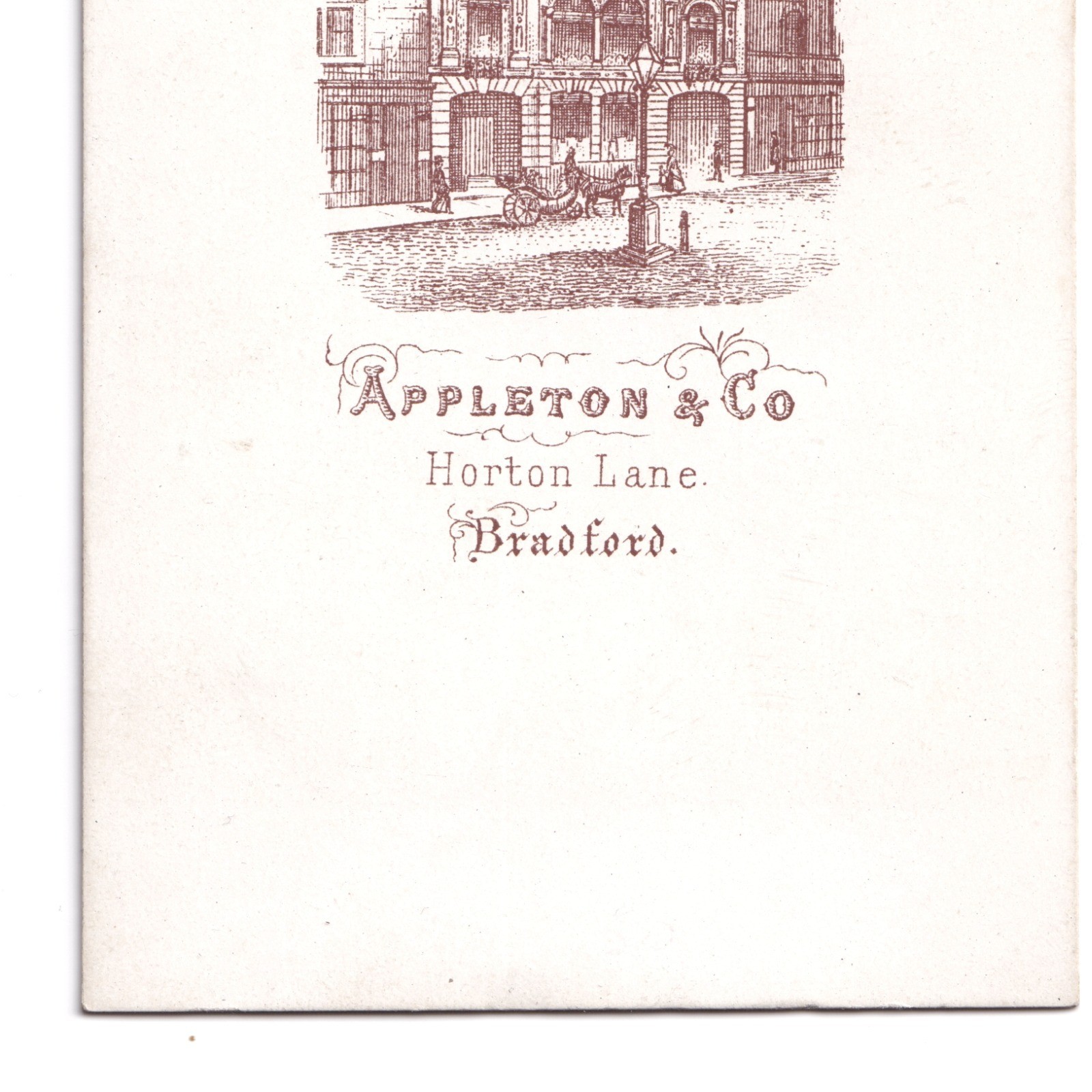 CDV: CDV: Appleton & Co Card, Bradford. Man Leaning On Chair.: catalogue image 13