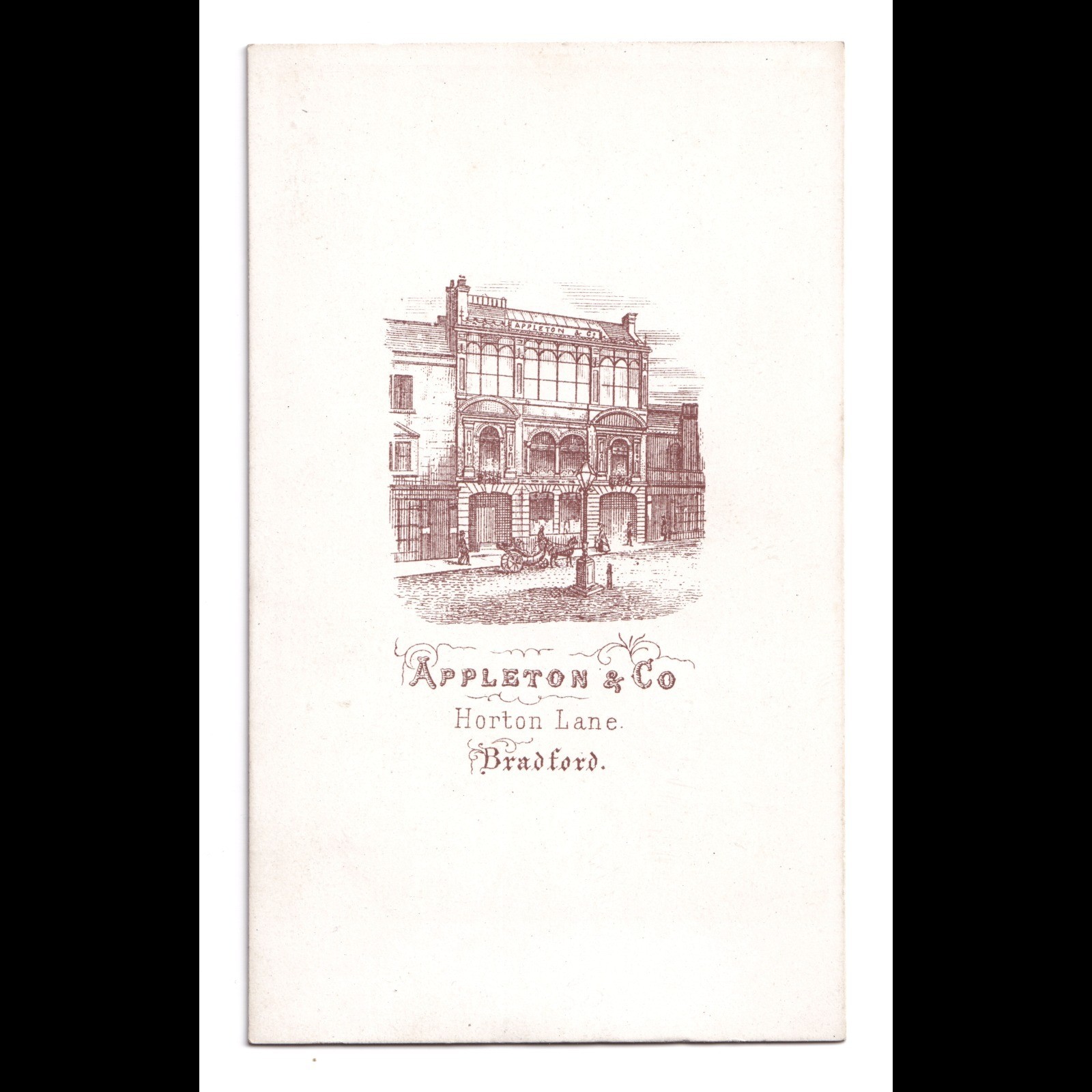 CDV: CDV: Appleton & Co Card, Bradford. Man Leaning On Chair.: catalogue image 3