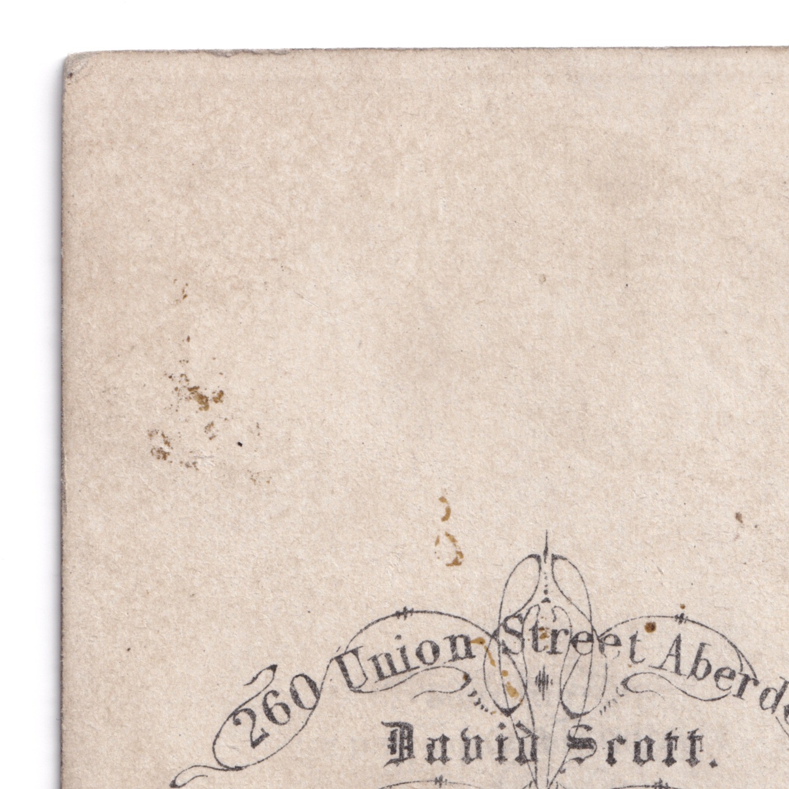 CDV: CDV: David Scott Card, Aberdeen. Woman in Full Dress.: catalogue image 12