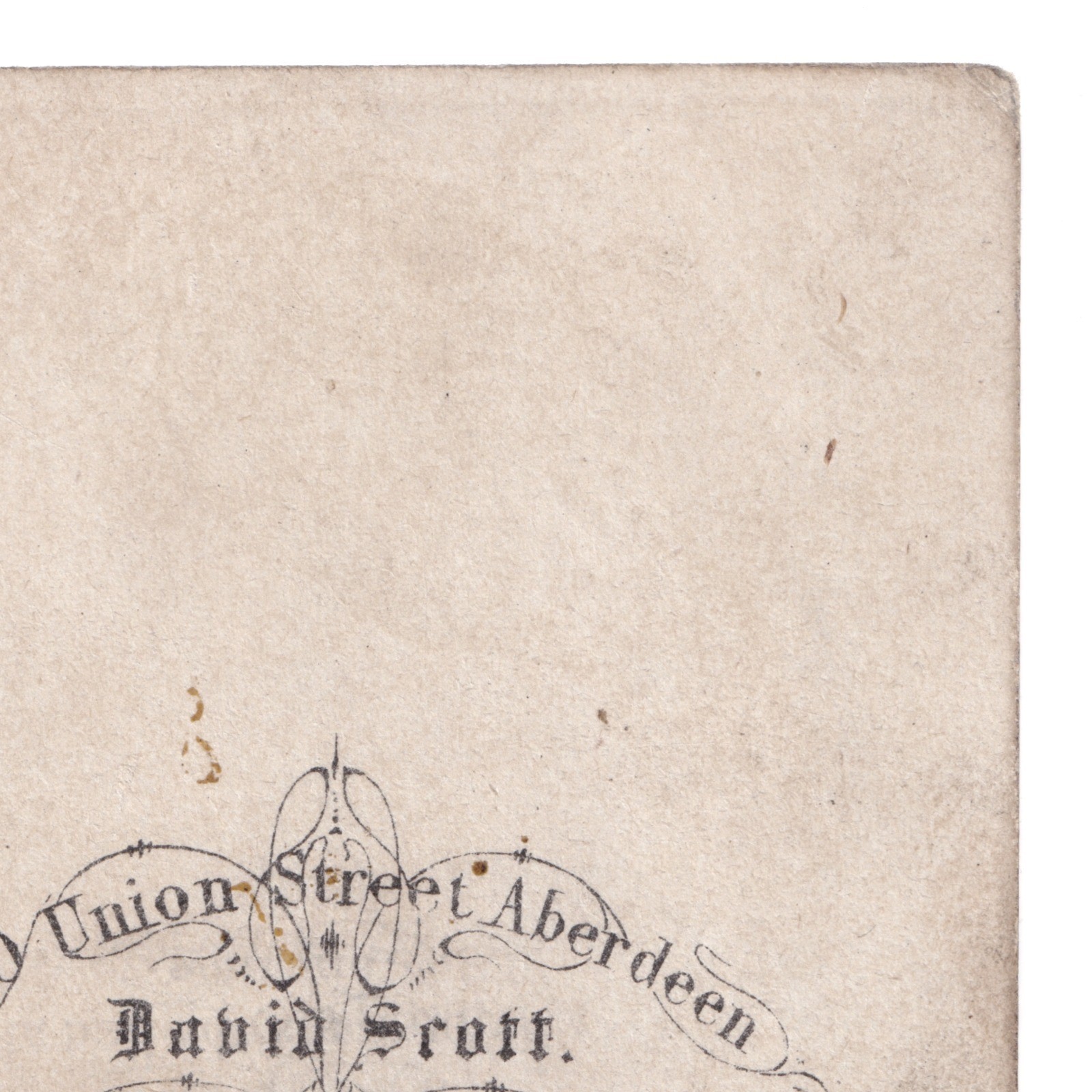 CDV: CDV: David Scott Card, Aberdeen. Woman in Full Dress.: catalogue image 13
