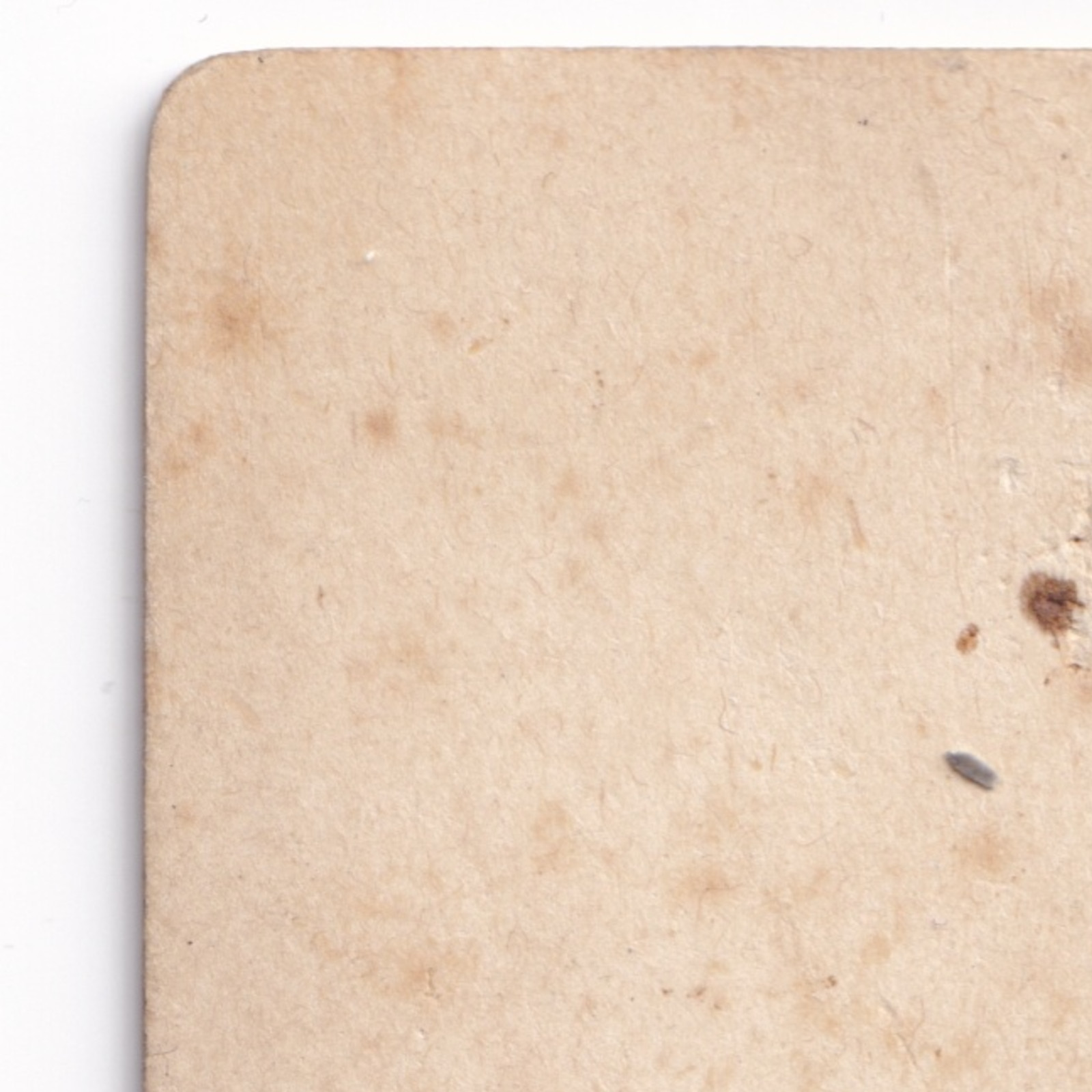 CDV: CDV Male Portrait, Possible ID, James Stewart. Frederick Hopkins, Clifton Card.: catalogue image 14