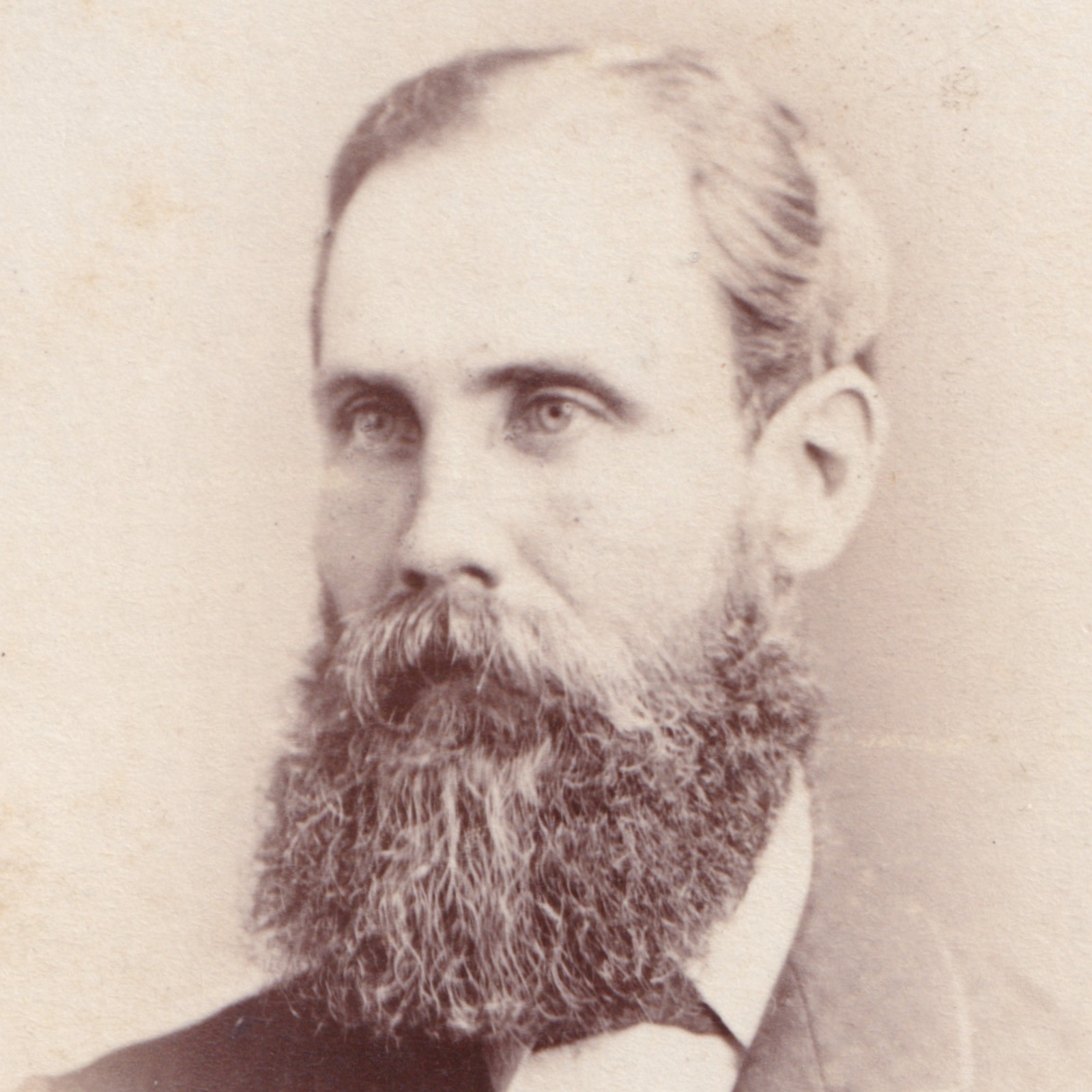 CDV: CDV, Man with Long Bushy Beard. Adams and Stilliard, Southampton.: catalogue image 3