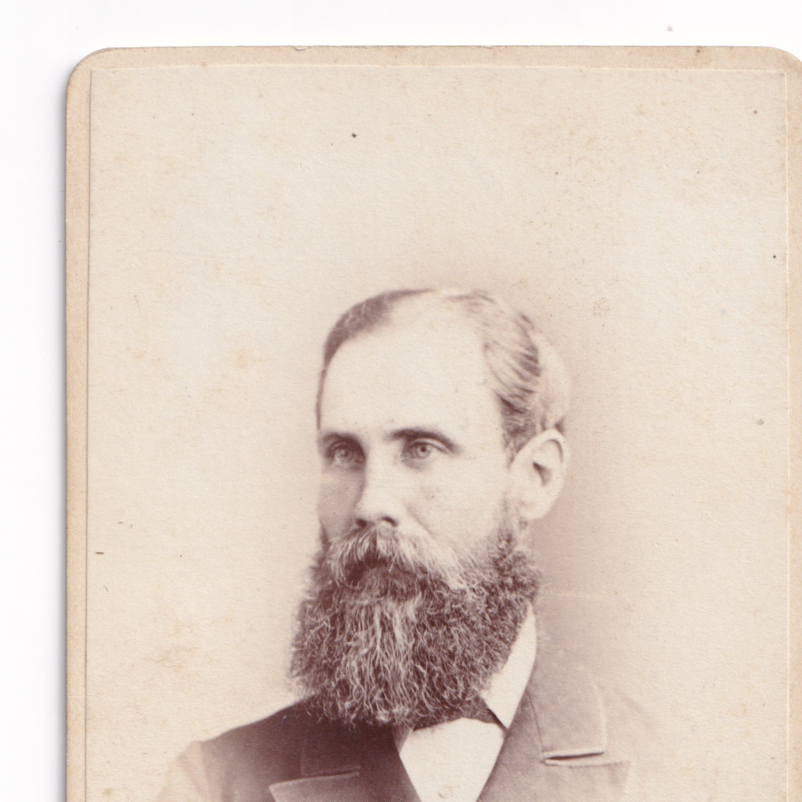 CDV: CDV, Man with Long Bushy Beard. Adams and Stilliard, Southampton.: catalogue image 4