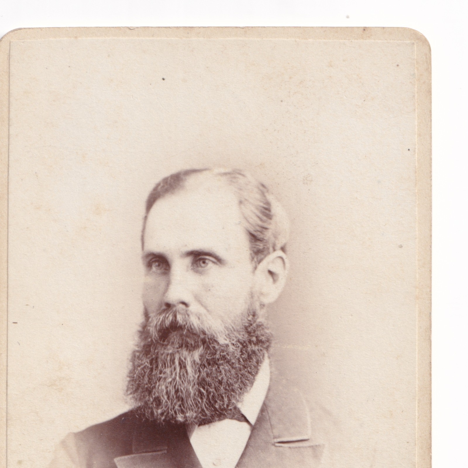 CDV: CDV, Man with Long Bushy Beard. Adams and Stilliard, Southampton.: catalogue image 5