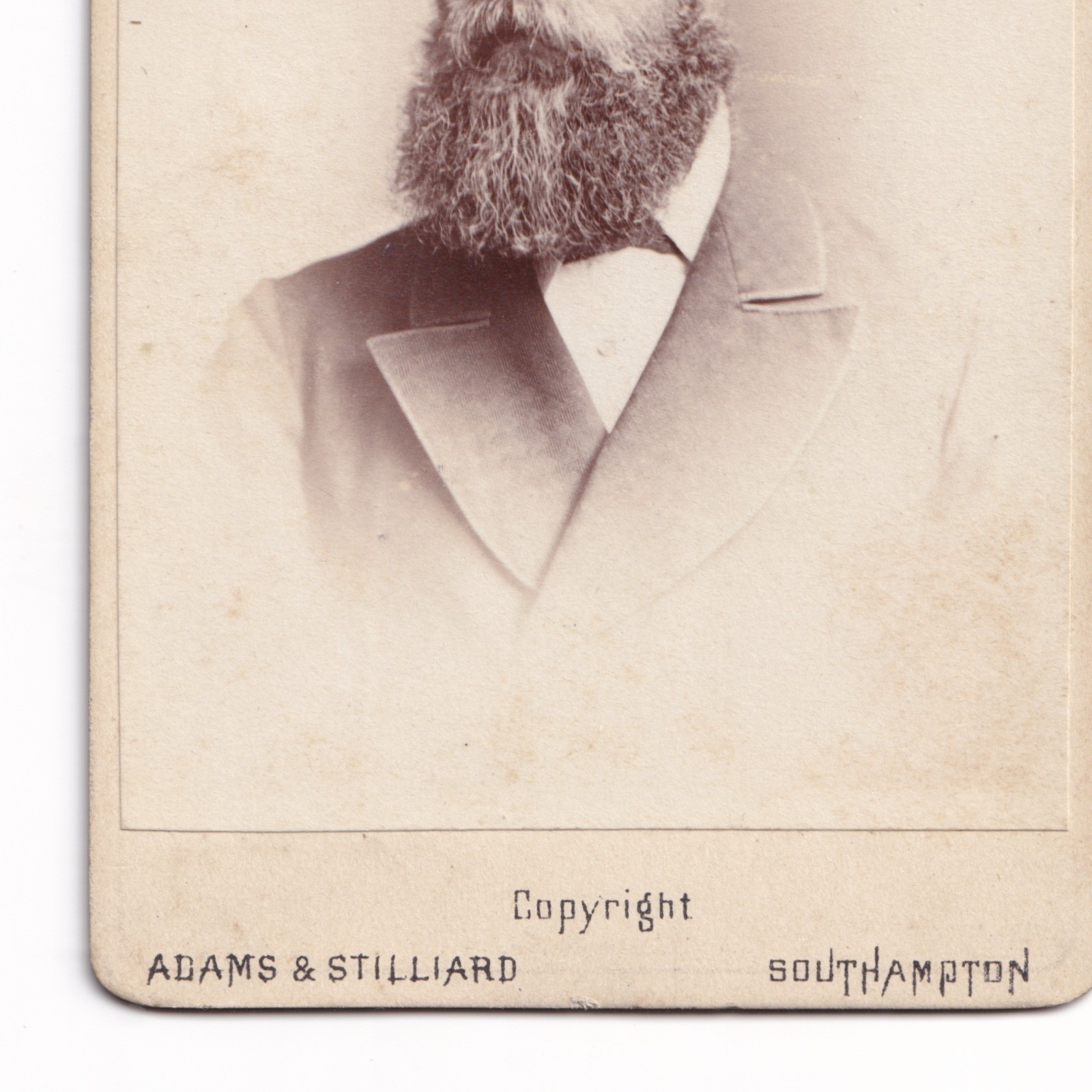 CDV: CDV, Man with Long Bushy Beard. Adams and Stilliard, Southampton.: catalogue image 7