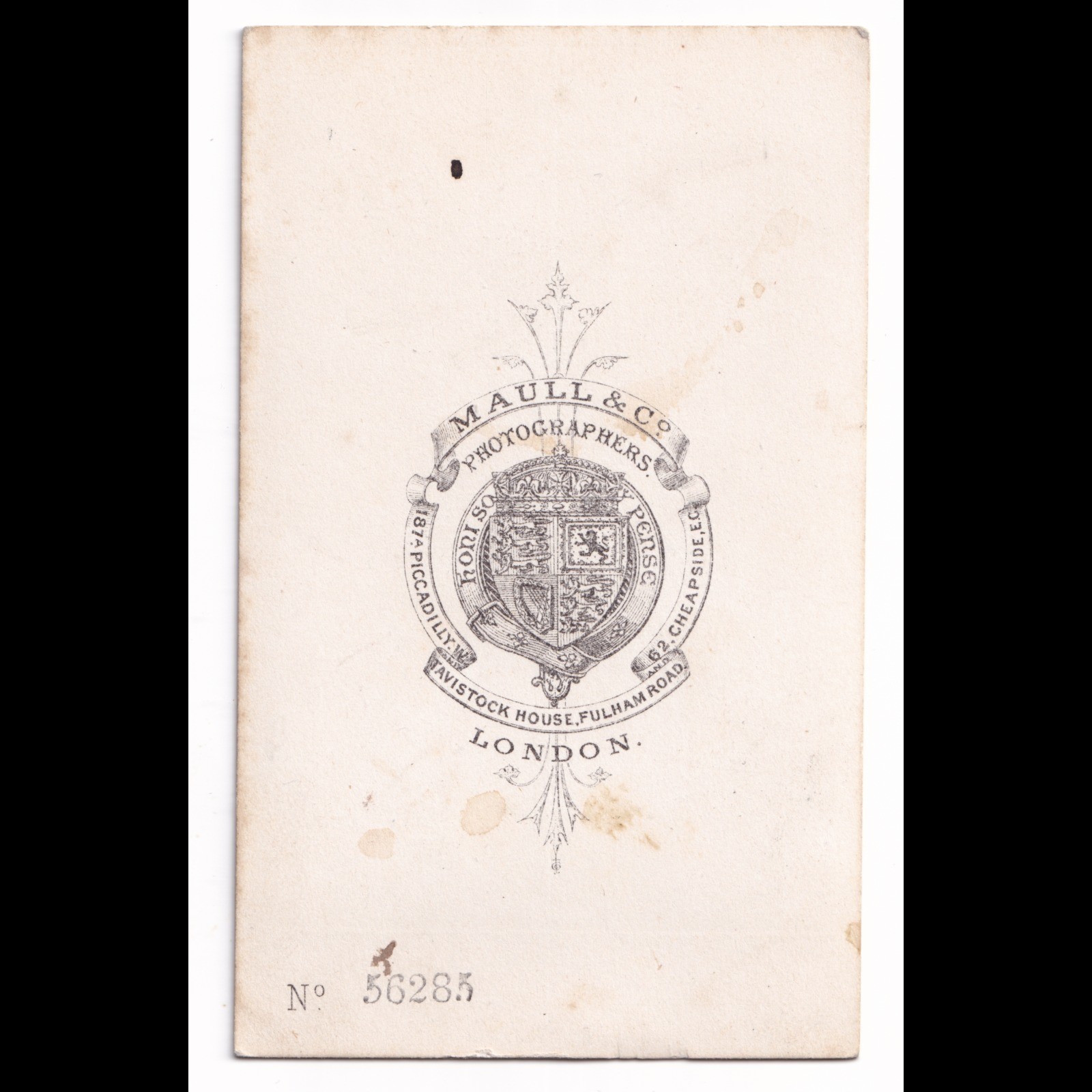CDV: CDV: Maull & Co Card, London. Colour Tinted, Woman in an Elegant Gown.: catalogue image 12