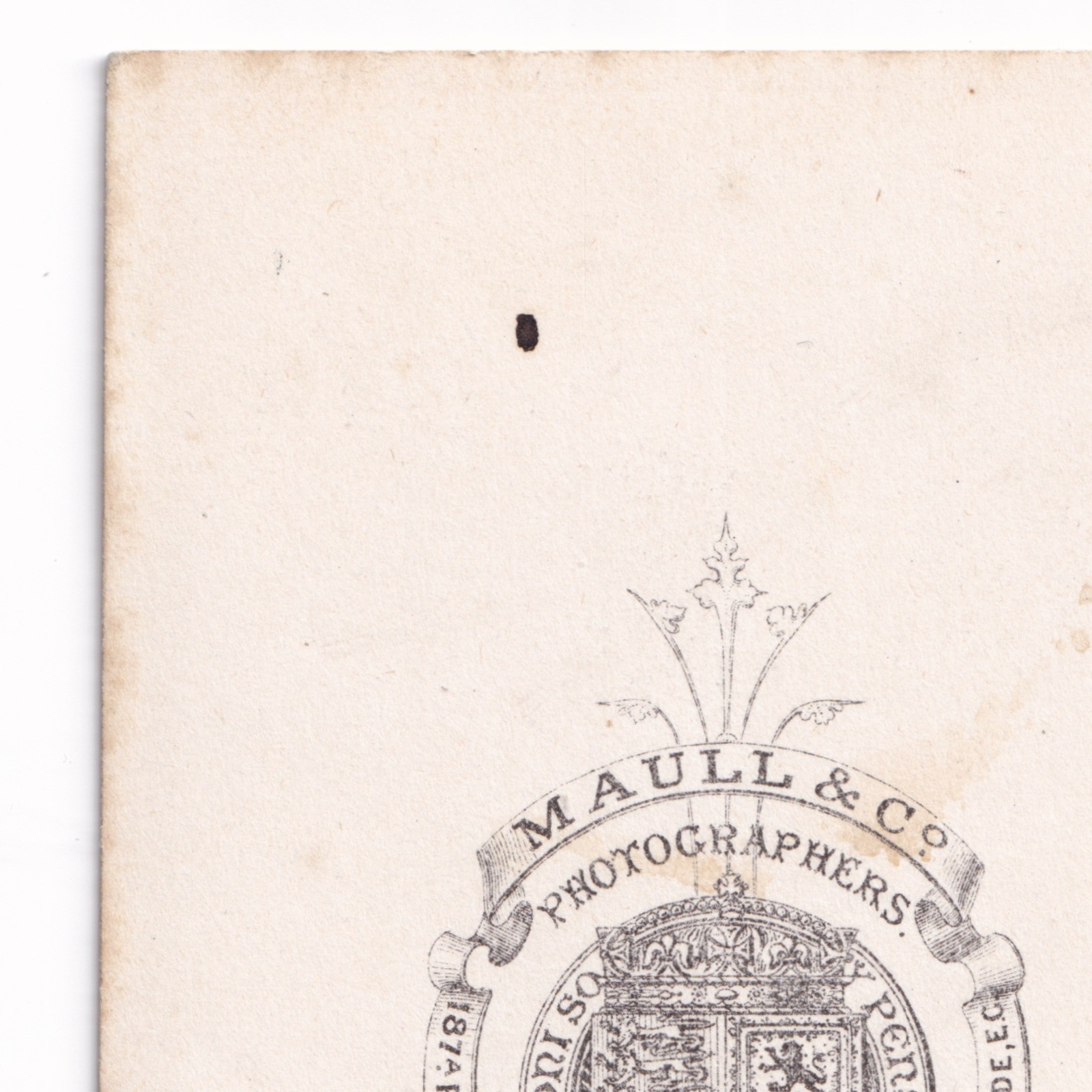 CDV: CDV: Maull & Co Card, London. Colour Tinted, Woman in an Elegant Gown.: catalogue image 13