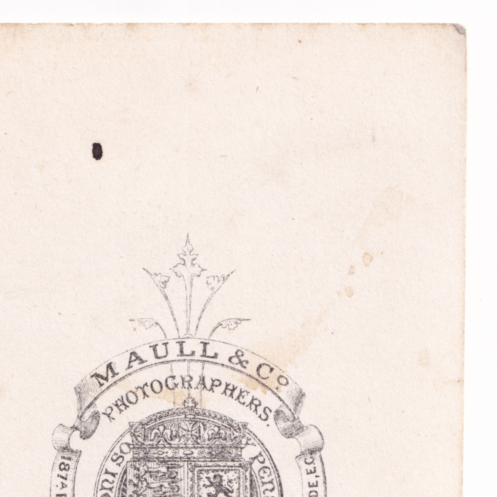 CDV: CDV: Maull & Co Card, London. Colour Tinted, Woman in an Elegant Gown.: catalogue image 14
