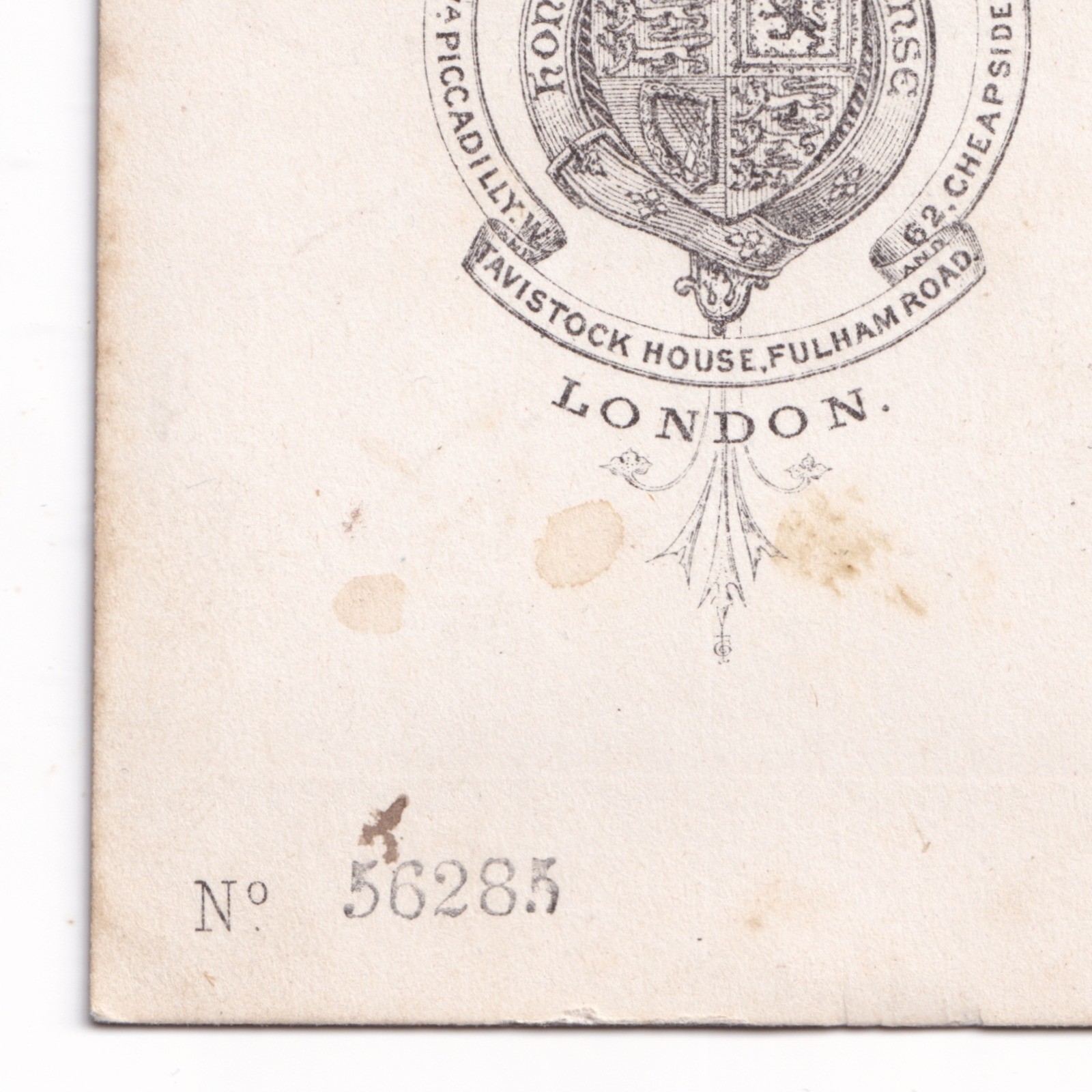 CDV: CDV: Maull & Co Card, London. Colour Tinted, Woman in an Elegant Gown.: catalogue image 16