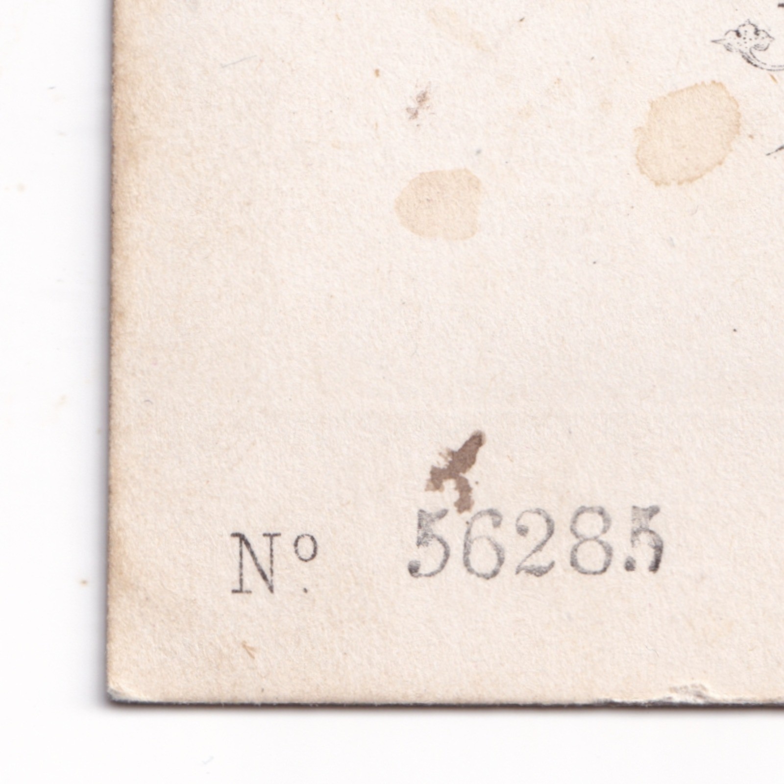 CDV: CDV: Maull & Co Card, London. Colour Tinted, Woman in an Elegant Gown.: catalogue image 17