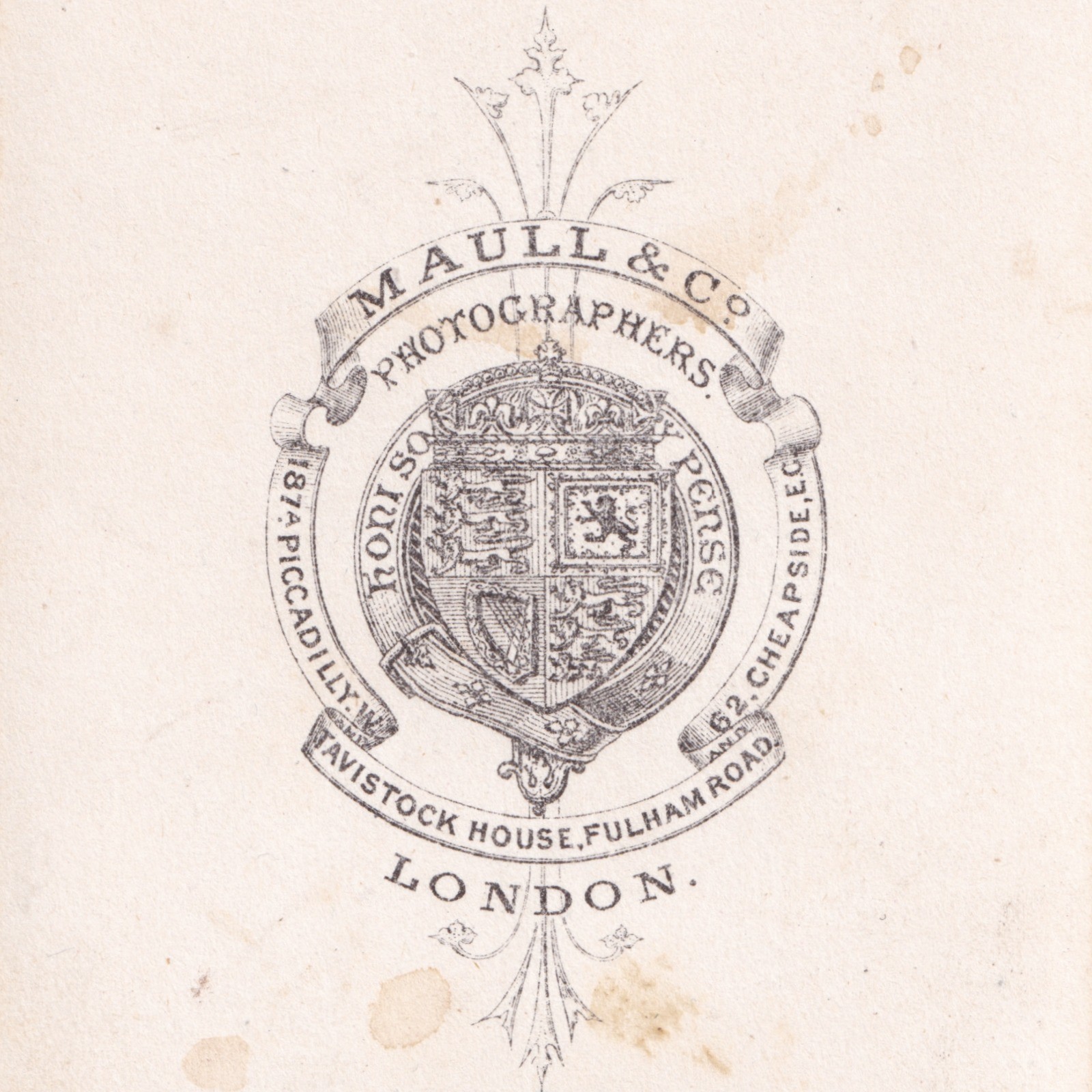CDV: CDV: Maull & Co Card, London. Colour Tinted, Woman in an Elegant Gown.: catalogue image 18