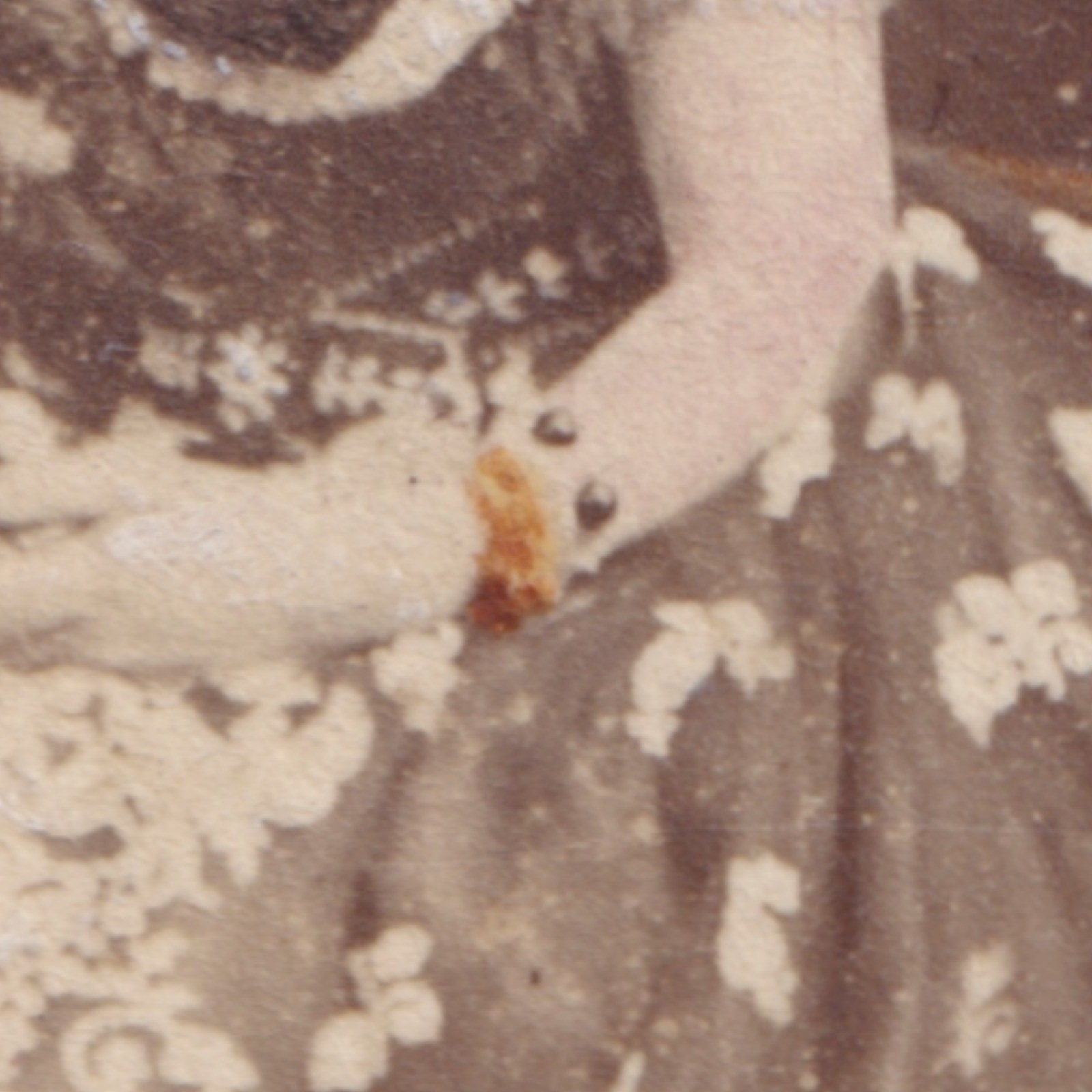 CDV: CDV: Maull & Co Card, London. Colour Tinted, Woman in an Elegant Gown.: catalogue image 5