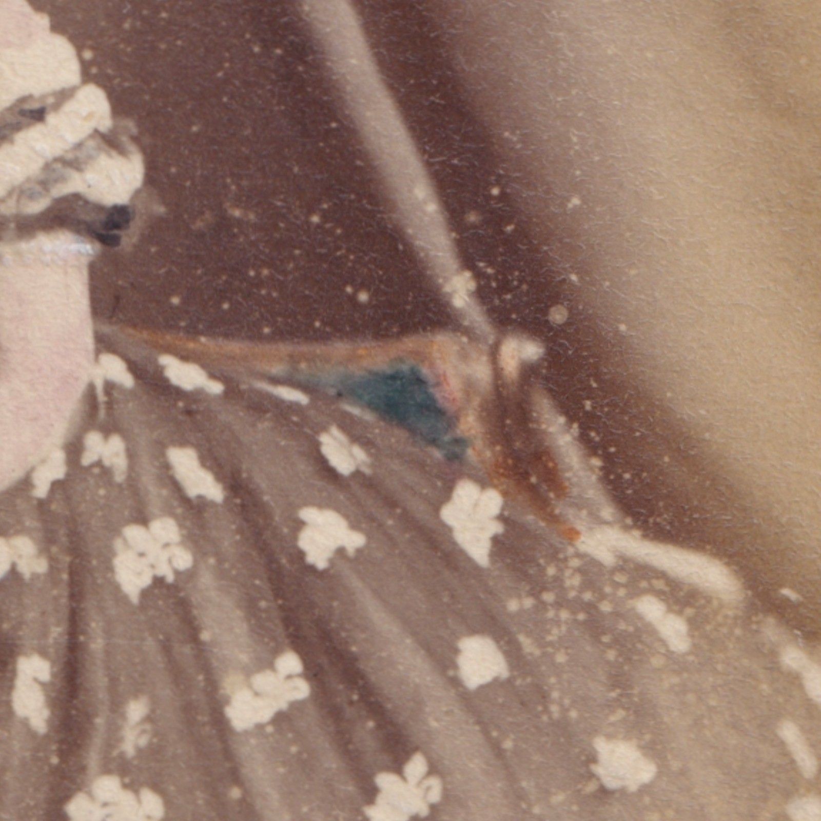 CDV: CDV: Maull & Co Card, London. Colour Tinted, Woman in an Elegant Gown.: catalogue image 7