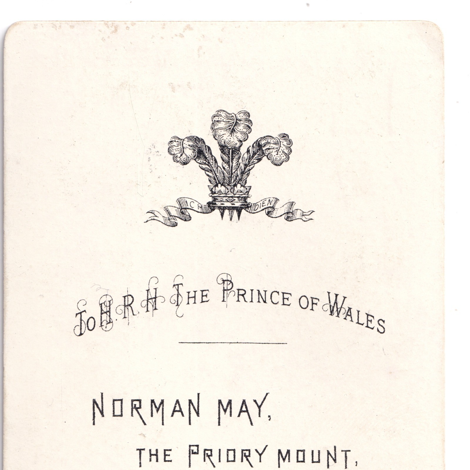 CDV: CDV: Norman May, Malvern Card. Woman wearing hat or cap.: catalogue image 12