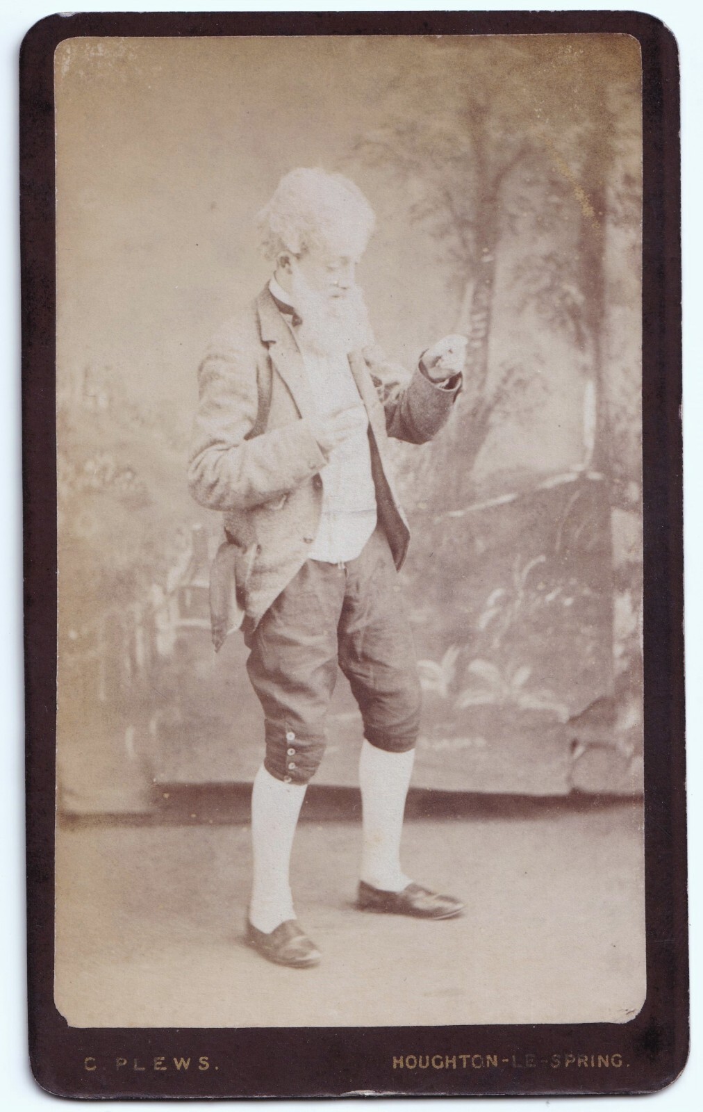 CDV: CDV: Person in Fancy Dress, Theatrical Pose. C. Plews, Houghton Le Spring Card.: catalogue image 1