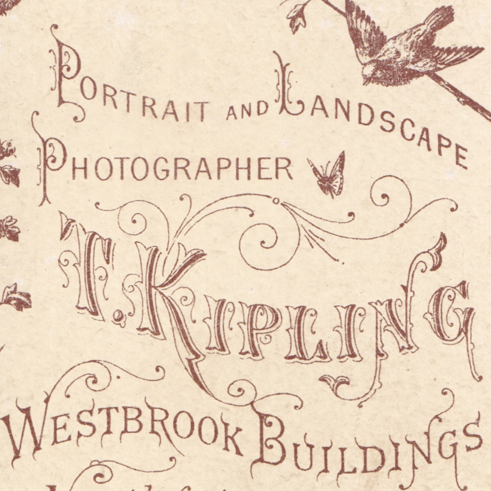 CDV: CDV: Portrait of a Young Woman Holding Photograph Album. T. Kipling, Darlington.: catalogue image 15