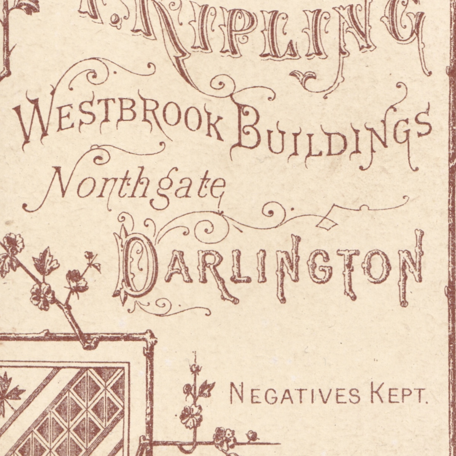 CDV: CDV: Portrait of a Young Woman Holding Photograph Album. T. Kipling, Darlington.: catalogue image 16