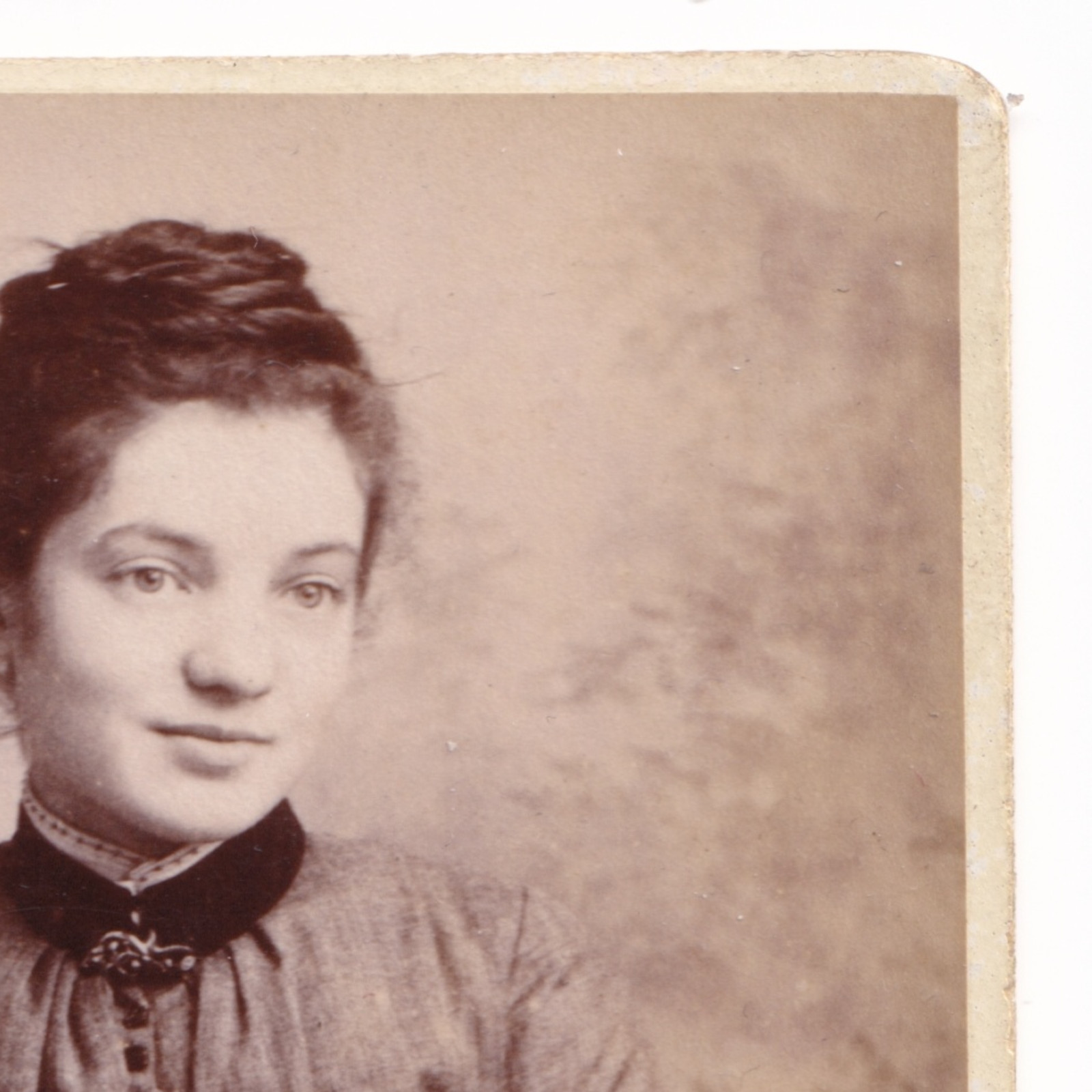 CDV: CDV: Portrait of a Young Woman Holding Photograph Album. T. Kipling, Darlington.: catalogue image 4