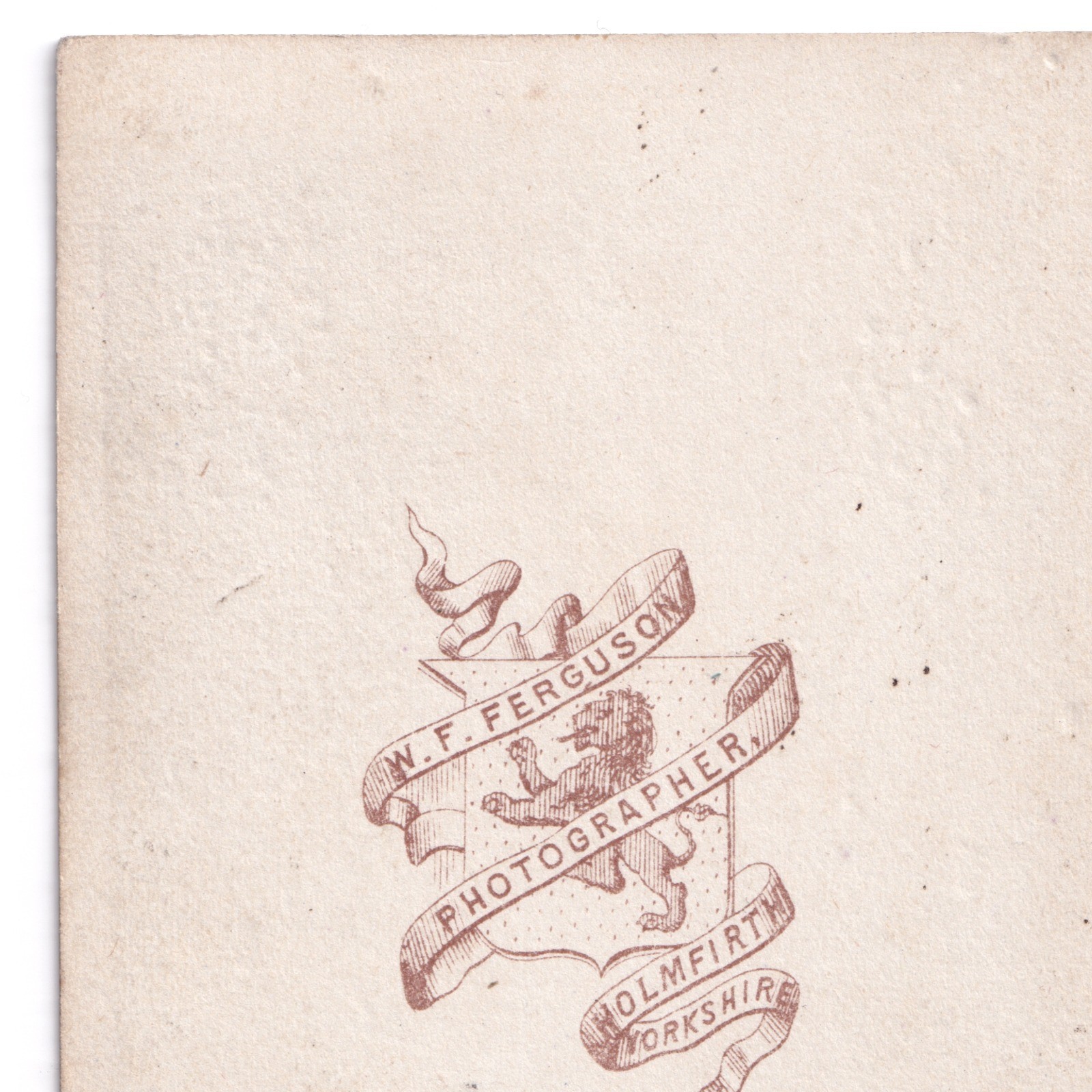CDV: CDV: W.F. Ferguson Card, Holmfirth, Yorkshire. Seated Man with Beard.: catalogue image 13