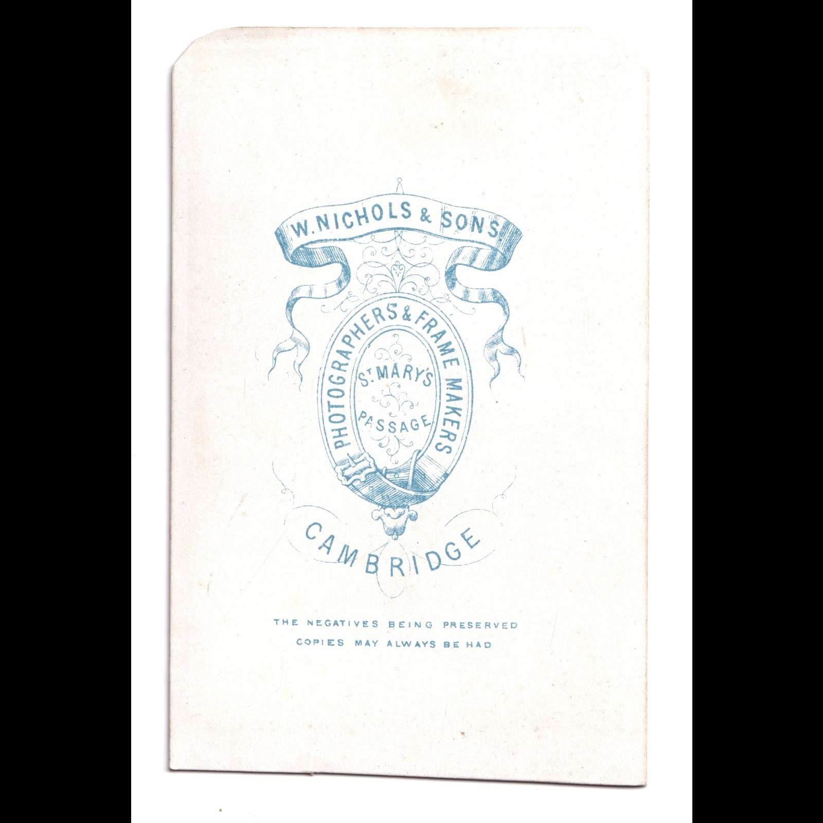 CDV: CDV: W. Nichols & Sons Card, Cambridge. Smart Man, Bushy Mutton Chops Beard.: catalogue image 12
