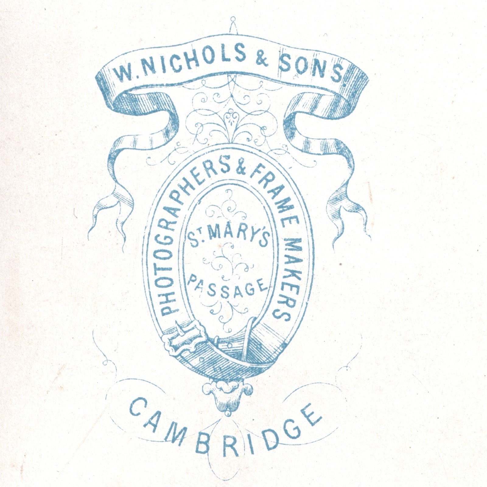 CDV: CDV: W. Nichols & Sons Card, Cambridge. Smart Man, Bushy Mutton Chops Beard.: catalogue image 13