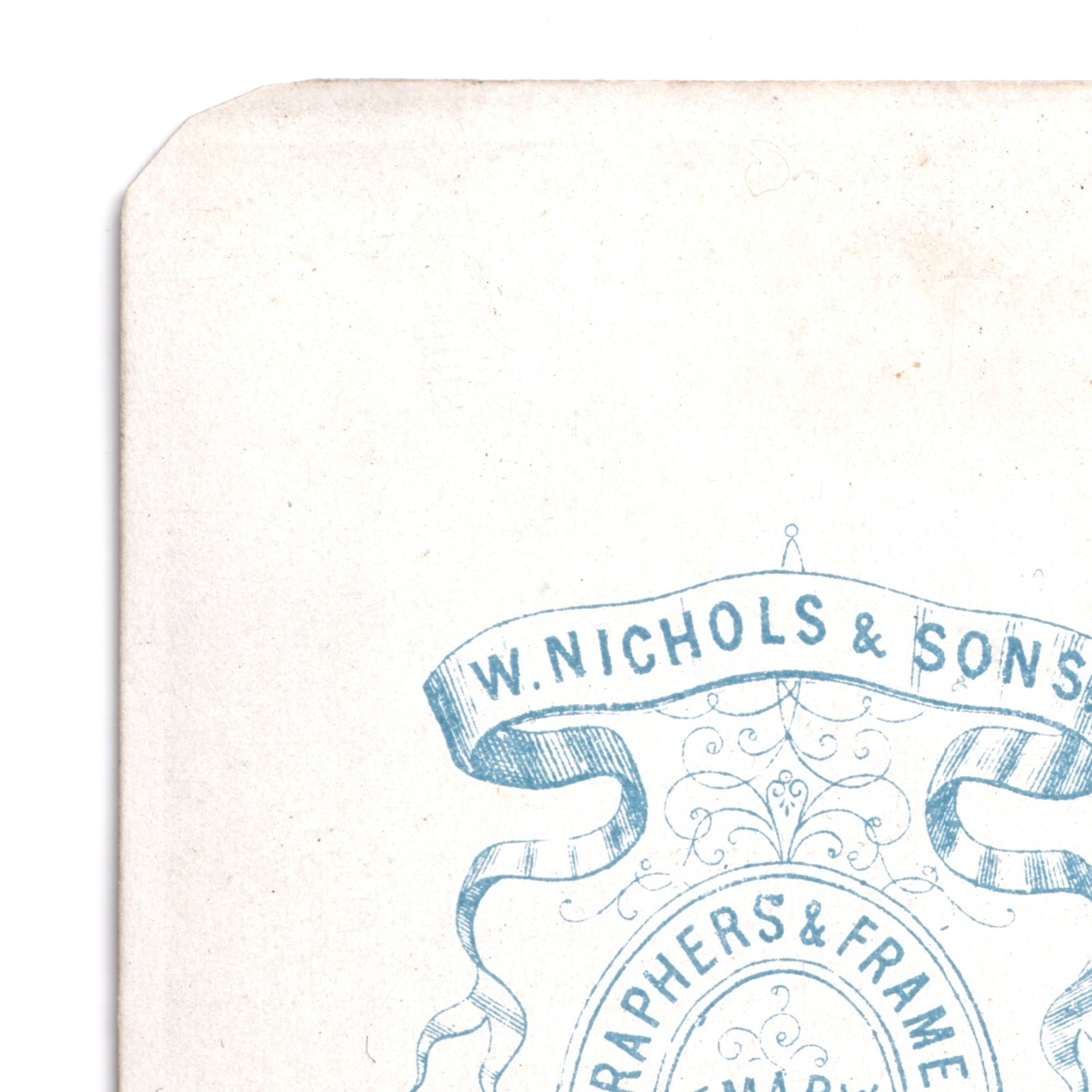 CDV: CDV: W. Nichols & Sons Card, Cambridge. Smart Man, Bushy Mutton Chops Beard.: catalogue image 15