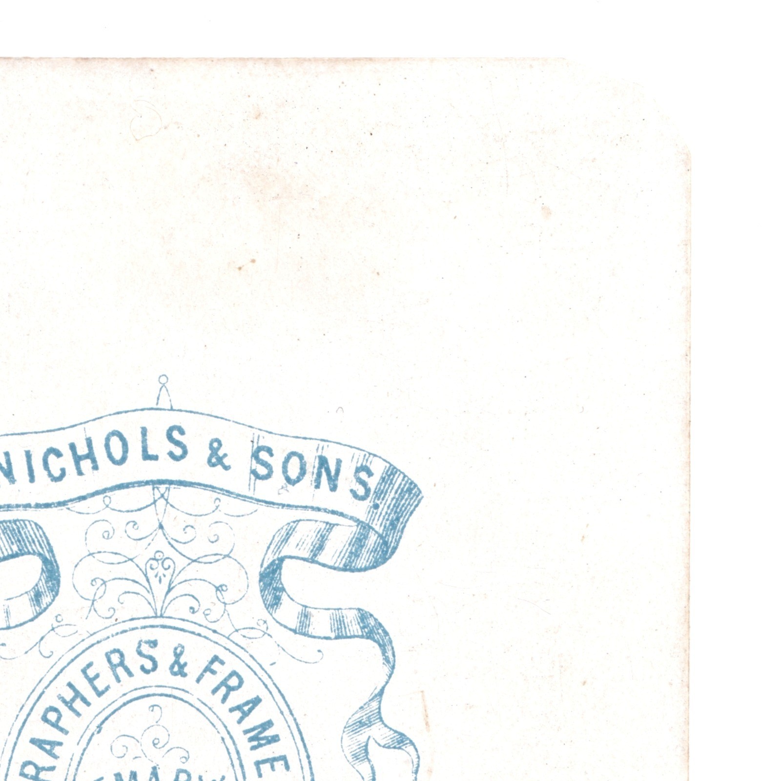 CDV: CDV: W. Nichols & Sons Card, Cambridge. Smart Man, Bushy Mutton Chops Beard.: catalogue image 16