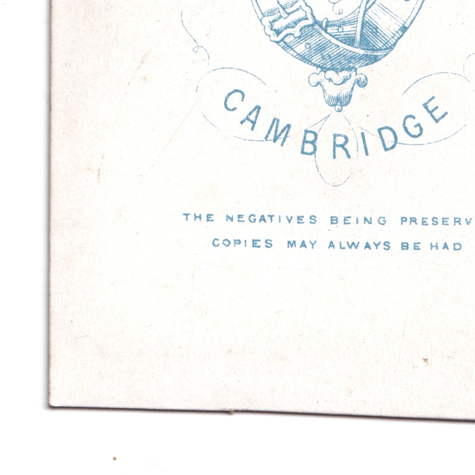 CDV: CDV: W. Nichols & Sons Card, Cambridge. Smart Man, Bushy Mutton Chops Beard.: catalogue image 18