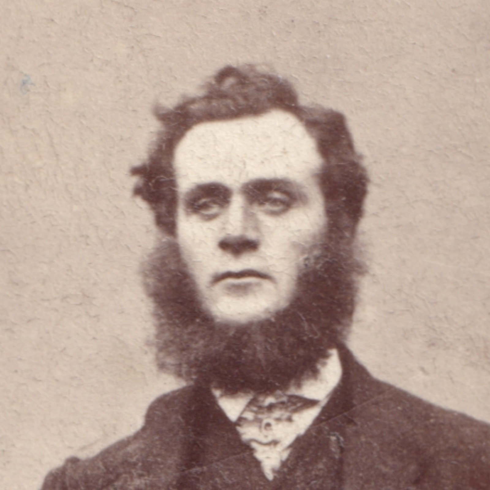 CDV: CDV: W. Nichols & Sons Card, Cambridge. Smart Man, Bushy Mutton Chops Beard.: catalogue image 2