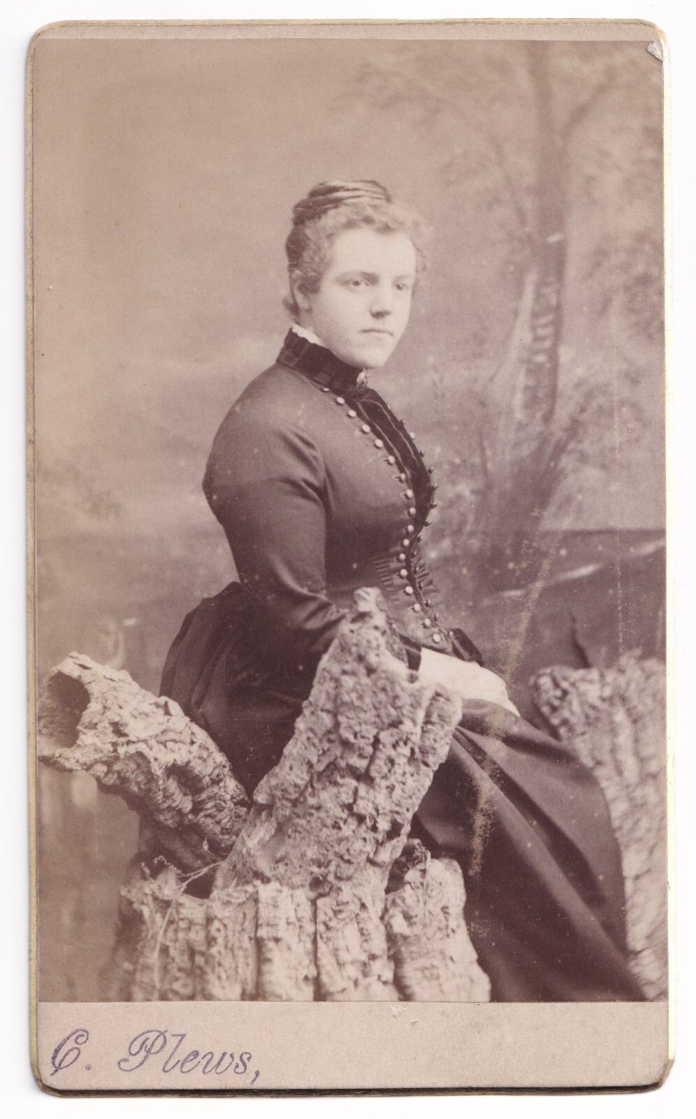 CDV: CDV: Woman Sitting on a Tree Stump. C. Plews, Houghton Le Spring Card.: catalogue image 1