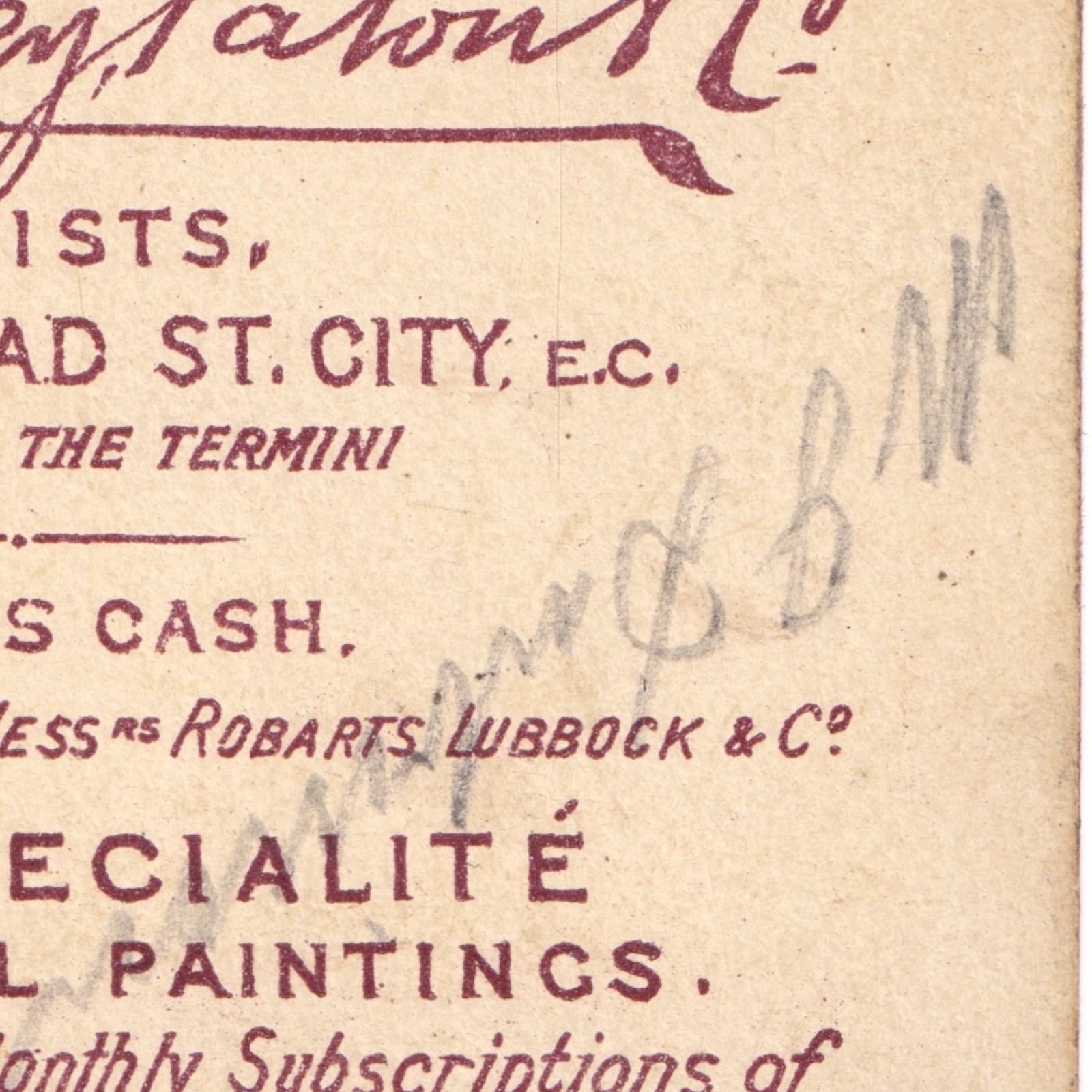 CDV: CDV: Young Man, Colour Tinted, Nastrowsky, Paton & Co Card.: catalogue image 19
