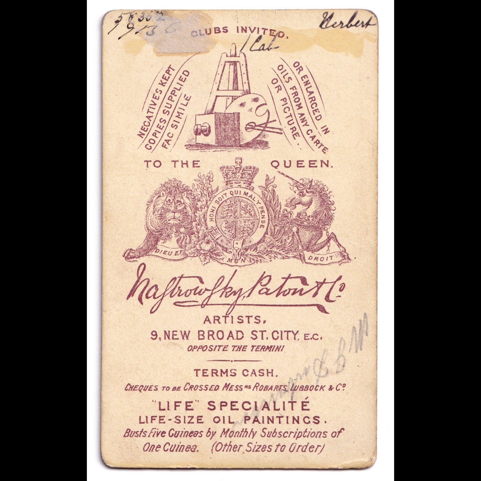 CDV: CDV: Young Man, Colour Tinted, Nastrowsky, Paton & Co Card.: catalogue image 2