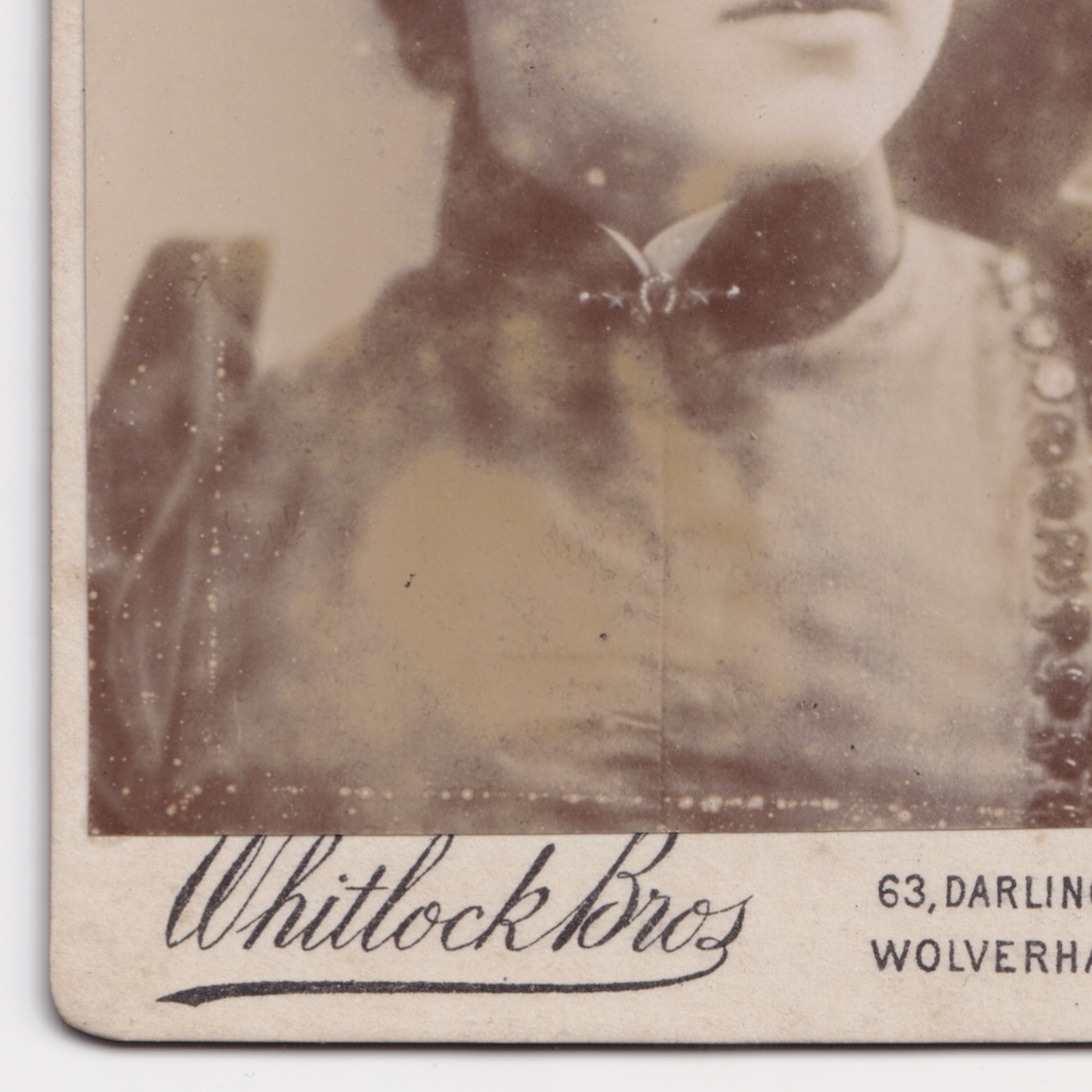 CDV: CDV: Young Woman Off-Camera Gaze. Whitlock Bros Wolverhampton: catalogue image 12