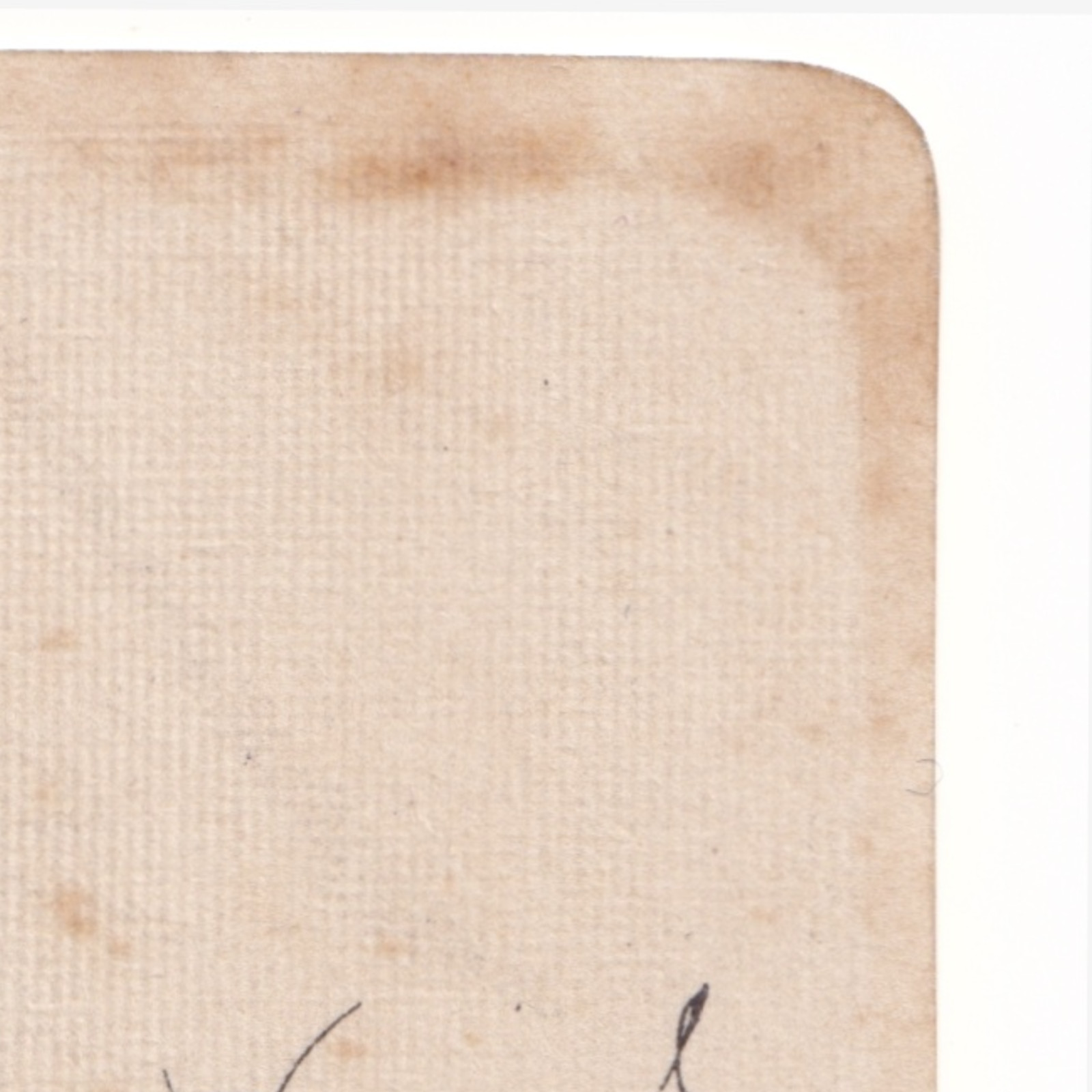 CDV: CDV: Young Woman Off-Camera Gaze. Whitlock Bros Wolverhampton: catalogue image 15