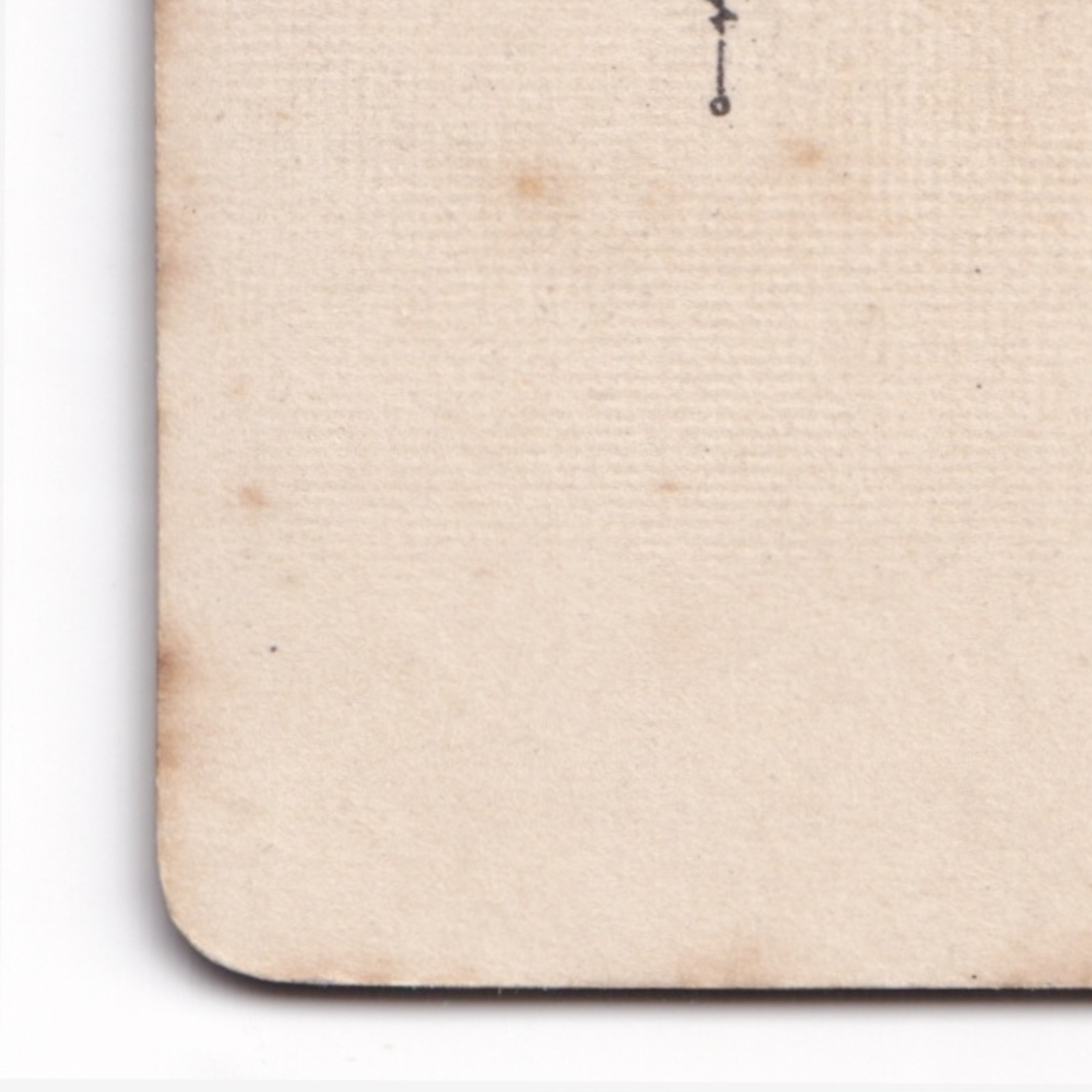 CDV: CDV: Young Woman Off-Camera Gaze. Whitlock Bros Wolverhampton: catalogue image 16
