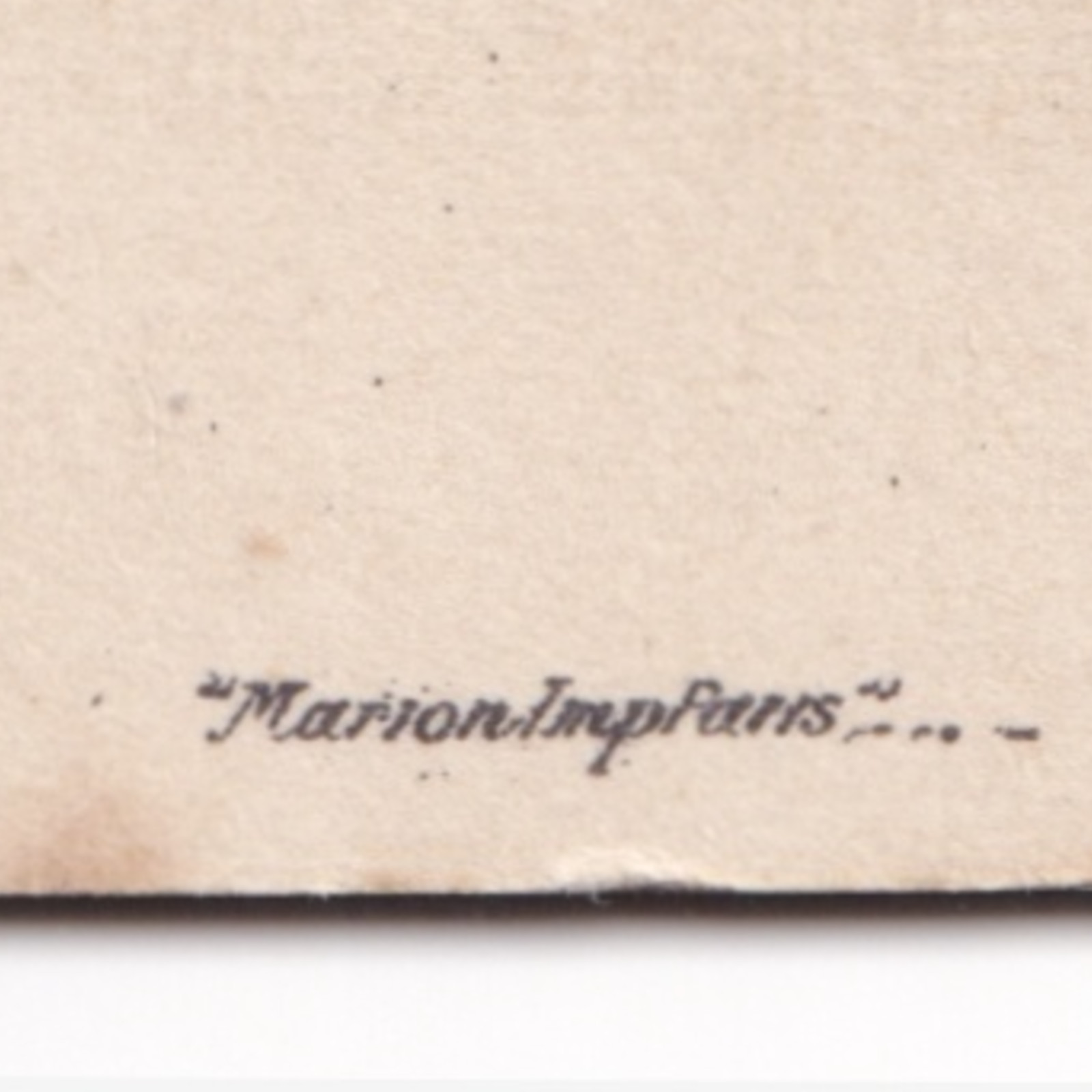 CDV: CDV: Young Woman Off-Camera Gaze. Whitlock Bros Wolverhampton: catalogue image 18
