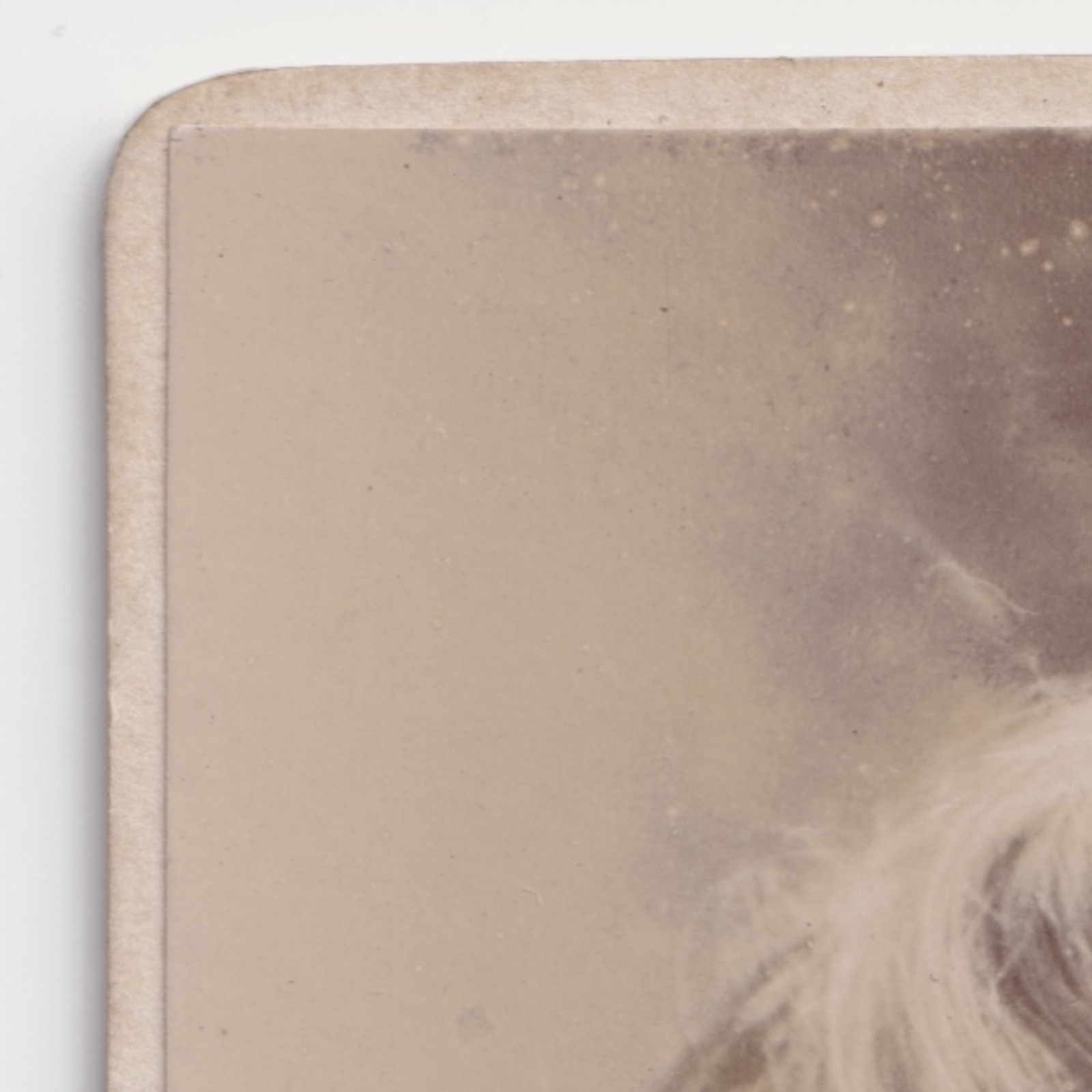 CDV: CDV: Young Woman Off-Camera Gaze. Whitlock Bros Wolverhampton: catalogue image 4