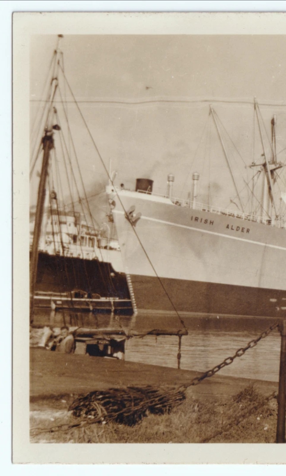Photograph: Old Photograph, Irish Alder Ship at Birkenhead, 1957.: catalogue image 3