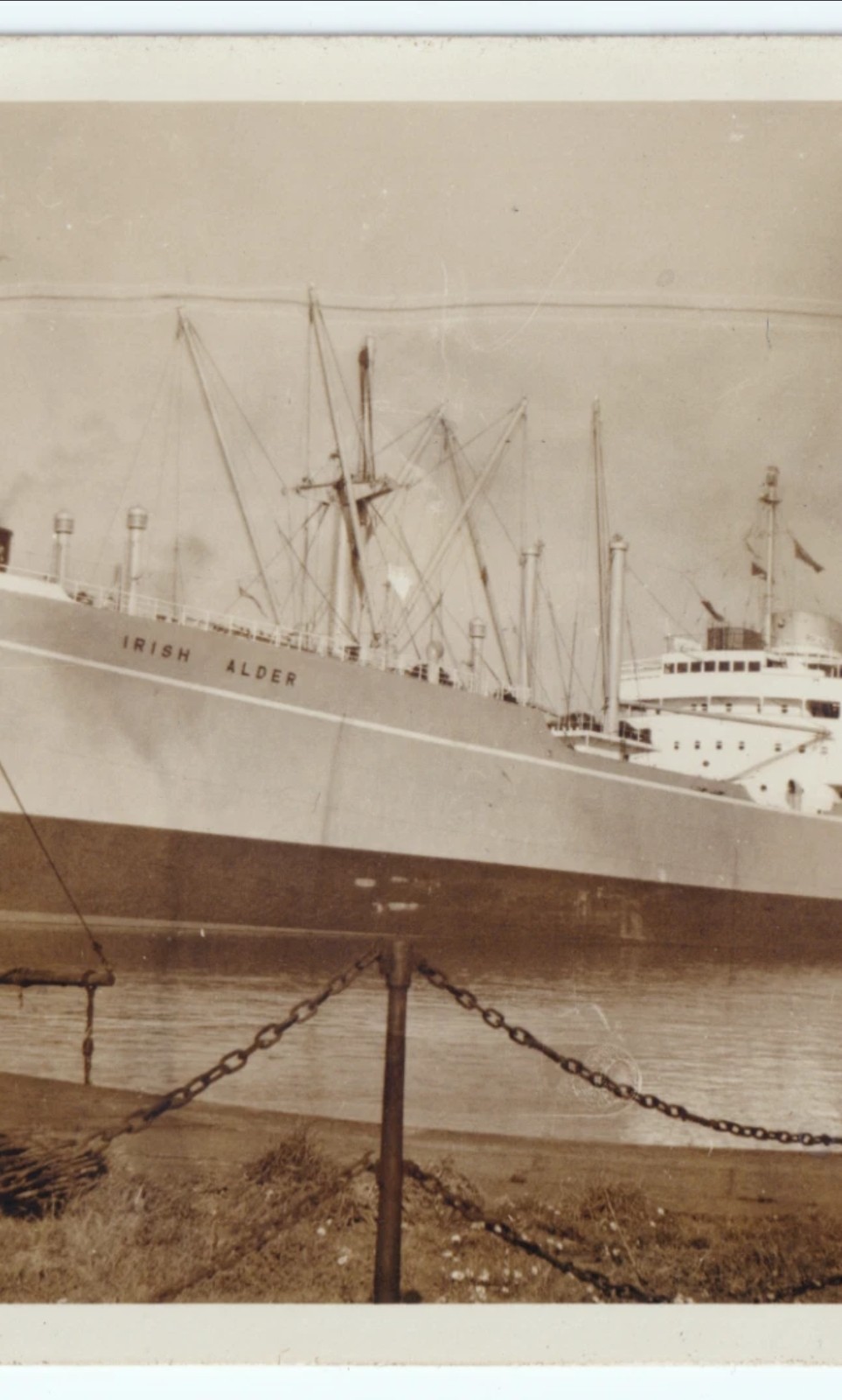 Photograph: Old Photograph, Irish Alder Ship at Birkenhead, 1957.: catalogue image 4