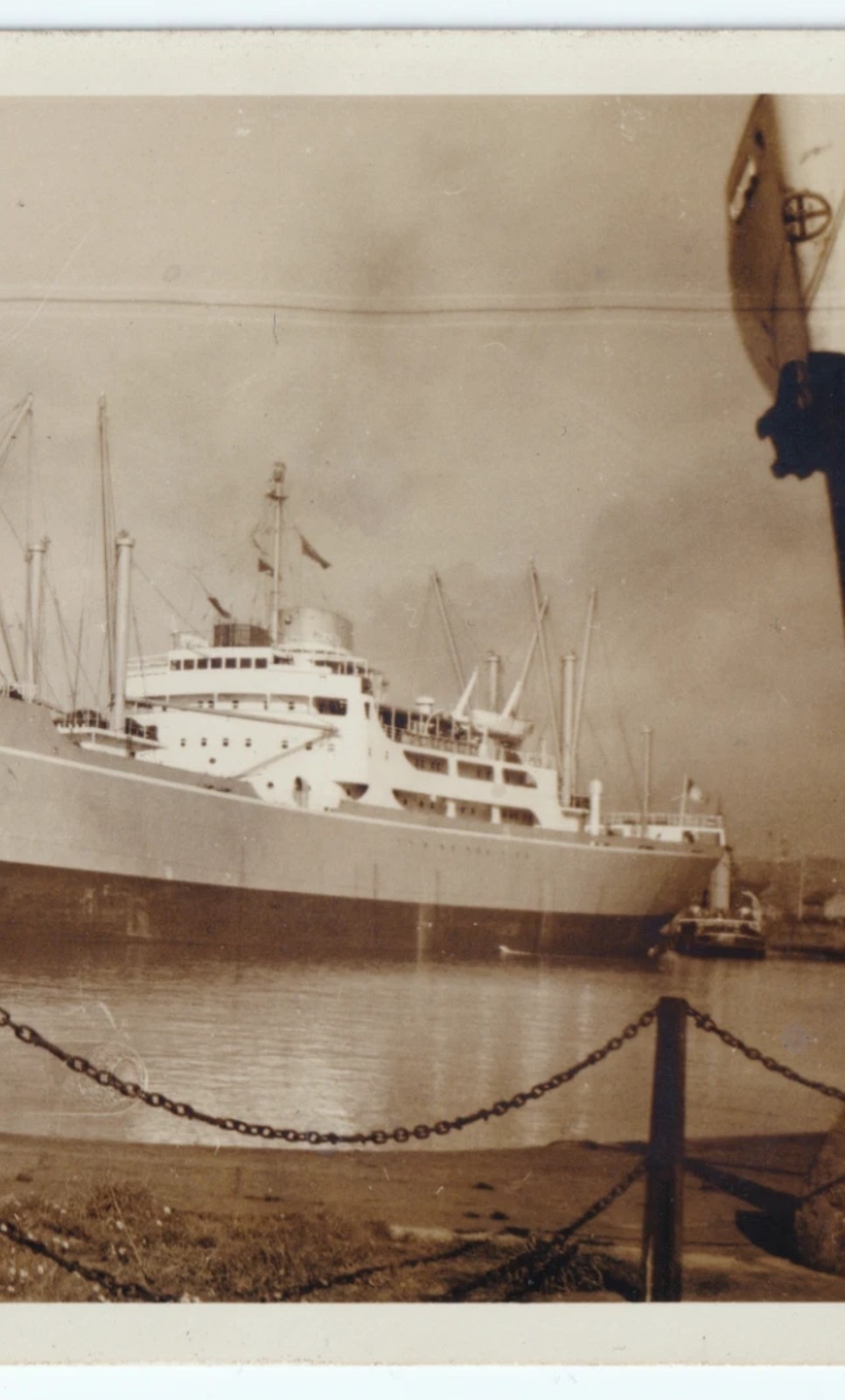 Photograph: Old Photograph, Irish Alder Ship at Birkenhead, 1957.: catalogue image 5