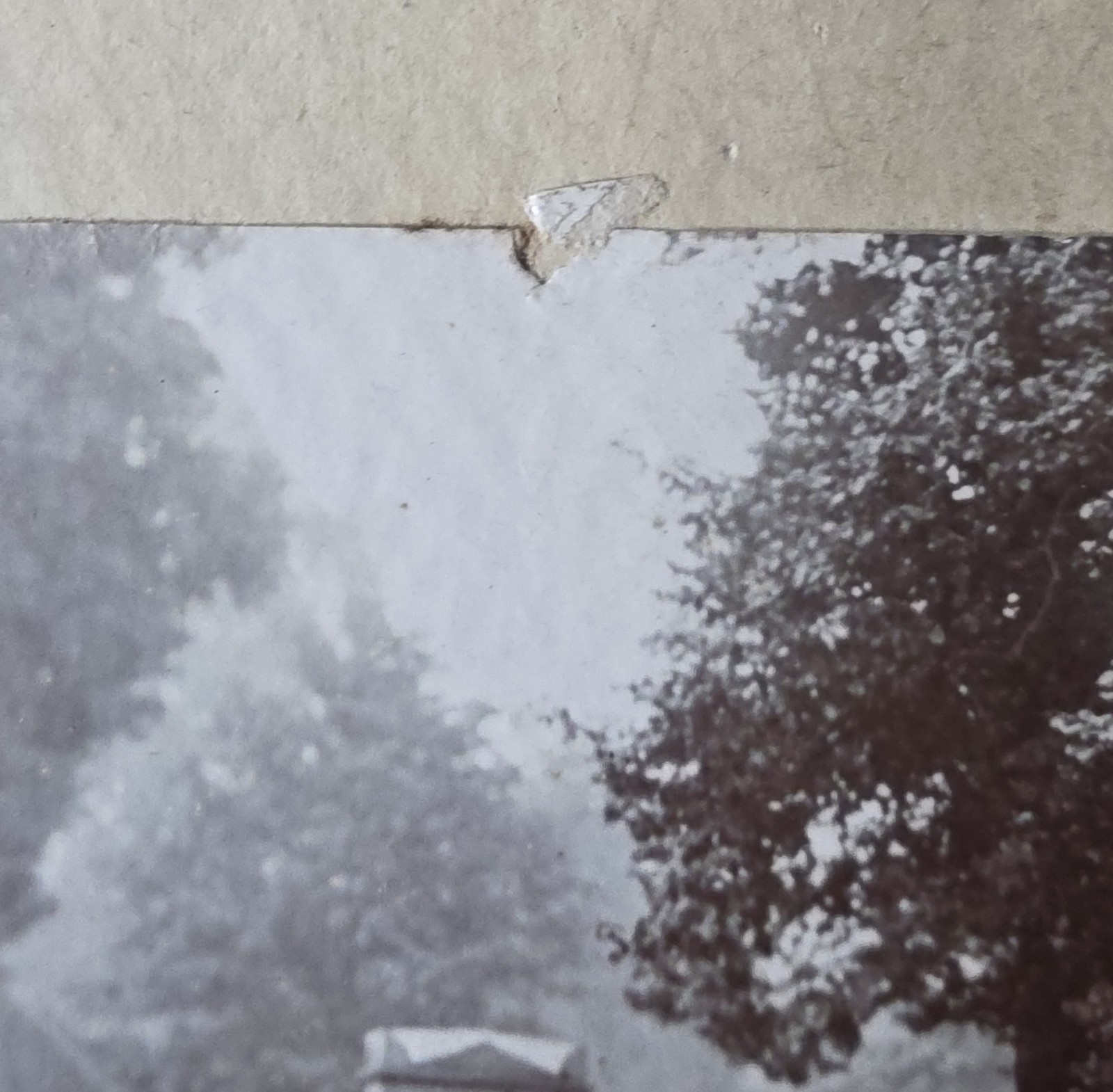 Photograph: Vintage Photograph, T. HYDE, Confectioner’s Horse and Cart, Widmore, Bromley.: catalogue image 15