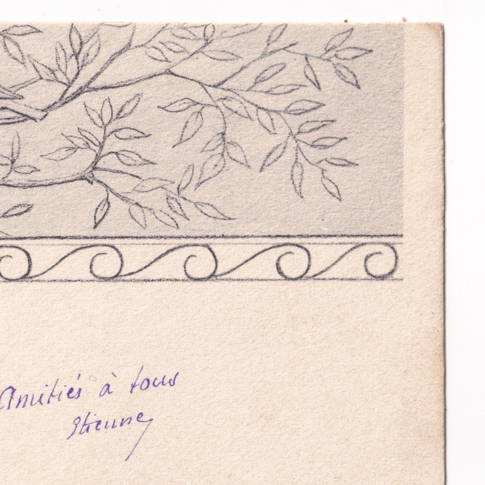 Postcard: Postcard: Art Nouveau, Two Women Watching A Bird in the Tree.: catalogue image 3